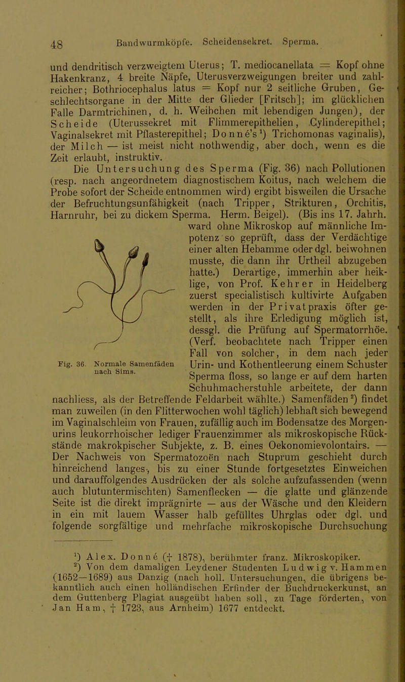 und dendritisch verzweigtem Uterus; T. mediocanellata == Kopf ohne Hakenkranz, 4 breite Näpfe, Uterusverzweigungen breiter und zahl- reicher; Bothriocephalus latus = Kopf nur 2 seitliche Gruben, Ge- schlechtsorgane in der Mitte der Glieder [Fritsch]; im glücklichen Falle Darmtrichinen, d. h. Weibchen mit lebendigen Jungen), der Scheide (Uterussekret mit Flimmerepithelien, Cylinderepithel; Vaginalsekret mit Pflasterepithel; Donne's1) Trichomonas vaginalis), der Milch — ist meist nicht nothwendig, aber doch, wenn es die Zeit erlaubt, instruktiv. Die Untersuchung des Sperma (Fig. 36) nach Pollutionen (resp. nach angeordnetem diagnostischem Koitus, nach welchem die Probe sofort der Scheide entnommen wird) ergibt bisweilen die Ursache der Befruchtungsunfähigkeit (nach Tripper, Strikturen, Orchitis, Harnruhr, bei zu dickem Sperma. Herrn. Beigel). (Bis ins 17. Jahrh. ward ohne Mikroskop auf männliche Im- potenz so geprüft, dass der Verdächtige einer alten Hebamme oder dg], beiwohnen musste, die dann ihr Urtheil abzugeben hatte.) Derartige, immerhin aber heik- lige, von Prof. Kehr er in Heidelberg zuerst special istisch kultivirte Aufgaben werden in der Privatpraxis öfter ge- stellt, als ihre Erledigung möglich ist, dessgl. die Prüfung auf Spermatorrhöe. (Verf. beobachtete nach Tripper einen Fall von solcher, in dem nach jeder ng. 36. Normale Samenfäden Urin- und Kothentleerung einem Schuster Sperma floss, so lange er auf dem harten Schuhmacherstuhle arbeitete, der dann nachhess, als der Betreffende Feldarbeit wählte.) Samenfäden2) findet man zuweilen (in den Flitterwochen wohl täglich) lebhaft sich bewegend im Vaginalschleim von Frauen, zufällig auch im Bodensatze des Morgen- urins leukorrhoischer lediger Frauenzimmer als mikroskopische Rück- stände makrokpischer Subjekte, z. B. eines Oekonomievolontairs. — Der Nachweis von Spermatozo6n nach Stuprum geschieht durch hinreichend langes-, bis zu einer Stunde fortgesetztes Einweichen und darauffolgendes Ausdrücken der als solche aufzufassenden (wenn auch blutuntermischten) Samenflecken — die glatte und glänzende Seite ist die direkt imprägnirte — aus der Wäsche und den Kleidern in ein mit lauem Wasser halb gefülltes Uhrglas oder dgl. und folgende sorgfältige und mehrfache mikroskopische Durchsuchung ') Alex. Donnc (f 1878), berühmter franz. Mikroskopiker. 2) Von dem damaligen Leydener Studenten Ludwig v. Hammen (1652—1689) aus Danzig (nach holl. Untersuchungen, die übrigens be- kanntlich auch einen holländischen Erlinder der Buchdruckerkunst, an dem Guttenberg Plagiat ausgeübt haben soll, zu Tage förderten, von Jan Ham, f 1723, aus Arnheim) 1677 entdeckt.