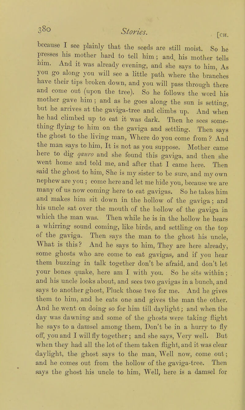 because I see plainly that the seeds are still moist. So he presses his mother hard to tell him; and. his mother tells him. And it was already evening, and she says to him, As you go along you will see a little path where the branches have their tips broken down, and you will pass through there and come out (upon the tree). So he follows the word his mother gave him ; and as he goes along the sun is setting, but he arrives at the gaviga-tree and climbs up. And when he had climbed up to eat it was dark. Then he sees some- thing flying to him on the gaviga and settling. Then says the ghost to the living man, Where do you come from ? And the man says to him, It is not as you suppose. Mother came here to dig qawro and she found this gaviga, and then she went home and told me, and after that I came here. Then said the ghost to him, She is my sister to be sure, and my own nephew are you ; come here and let me hide you, because we are many of us now coming here to eat gavigas. So he takes him and makes him sit down in the hollow of the gaviga; and his uncle sat over the mouth of the hollow of the gaviga in which the man was. Then while he is in the hollow he hears a whirring sound coming, like birds, and settling on the top of the gaviga. Then says the man to the ghost his uncle, What is this ? And he says to him, They are here already, some ghosts who are come to eat gavigas, and if you hear them buzzing in talk together don't be afraid, and don't let your bones quake, here am I with you. So he sits within; and his uncle looks about, and sees two gavigas in a bunch, and says to another ghost, Pluck those two for me. And he gives them to him, and he eats one and gives the man the other. And he went on doing so for him till daylight; and when the day was dawning and some of the ghosts were taking flight he says to a damsel among them, Don't be in a hurry to fly off, you and I will fly together ; and she says, Very well. But when they had all the lot of them taken flight, and it was clear daylight, the ghost says to the man, Well now, come out; and he comes out from the hollow of the gaviga-tree. Then says the ghost his uncle to him, Well, here is a damsel for