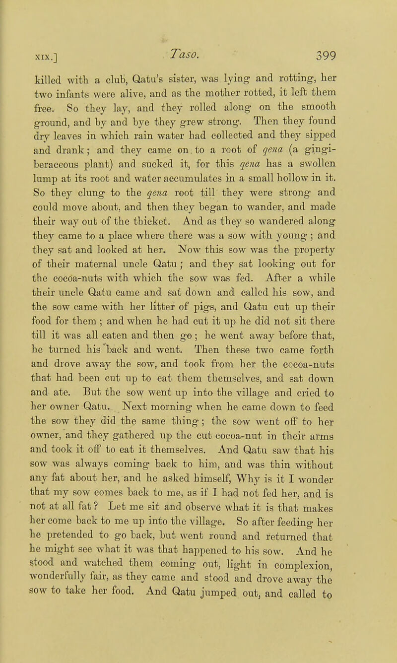 killed with a club, Qatu's sister, was lying- and rotting, her two infants were alive, and as the mother rotted, it left them free. So they lay, and they rolled along on the smooth ground, and by and bye they grew strong. Then they found dry leaves in which rain water had collected and they sipped and drank; and they came ©n.to a root of qena (a gingi- beraceous plant) and sucked it, for this qena has a swollen lump at its root and water accumulates in a small hollow in it. So they clung to the qena root till they were strong and could move about, and then they began to wander, and made their way out of the thicket. And as they so wandered along they came to a place where there was a sow with young ; and they sat and looked at her. Now this sow was the property of their maternal uncle Qatu ; and they sat looking out for the cocoa-nuts with which the sow was fed. After a while their uncle Qatu came and sat down and called his sow, and the sow came with her litter of pigs, and Qatu cut up their food for them ; and when he had cut it up he did not sit there till it was all eaten and then go; he went away before that, he turned his back and went. Then these two came forth and drove away the sow, and took from her the cocoa-nuts that had been cut up to eat them themselves, and sat down and ate. But the sow went up into- the village and cried to her owner Qatu. Next morning when he came down to feed the sow they did the same thing; the sow went off to her owner, and they gathered up the cut cocoa-nut in their arms and took it off to eat it themselves. And Qatu saw that his sow was always coming back to him, and was thin without any fat about her, and he asked himself, Why is it I wonder that my sow comes back to me, as if I had not fed her, and is not at all fat ? Let me sit and observe what it is that makes her come back to me up into the village. So after feeding her he pretended to go back, but went round and returned that he might see what it was that happened to his sow. And he stood and watched them coming out, light in complexion, wonderfully fair, as they came and stood and drove away the sow to take her food. And Qatu jumped out, and called to