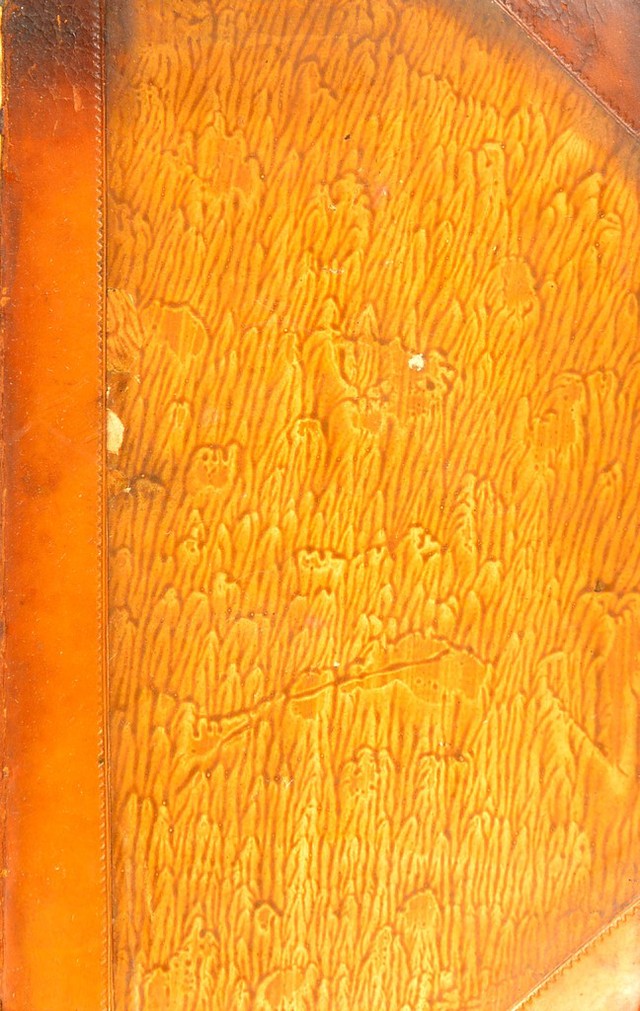 No text description is available for this image