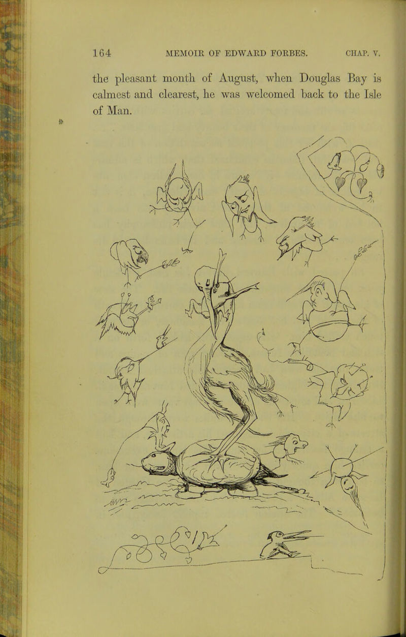 !> the pleasant month of August, when Douglas Bay is calmest and clearest, he was welcomed hack to the Isle of Man.