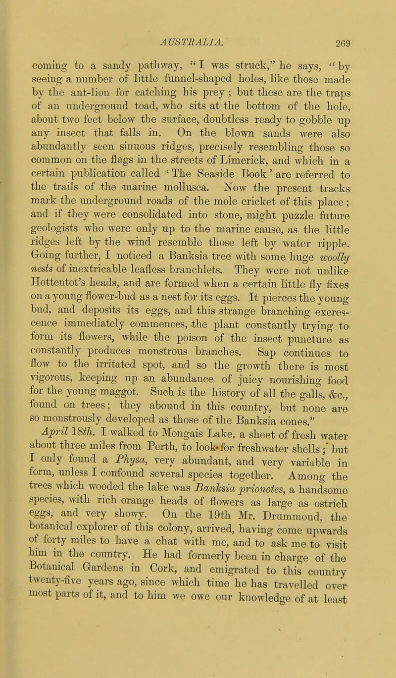 coming to a sandy pathway,  I was struct, he says,  by seeing a number of little funnel-shaped holes, like those made by the ant-lion for catching his prey ; but these are the traps of an underground toad, who sits at the bottom of tlie hole, about two feet below the surface, doubtless ready to gobble up any insect that falls in. On the blown sands were also abundantly seen sinuous ridges, precisely resembling those so common on the flags in the streets of Limerick, and which in a certain publication called 'The Seaside Book' are referred to the trails of the -marine mollusca. Now the present tracks mark the imderground roads of the mole cricket of this place ; and if they were consolidated into stone, might puzzle future geologists who were only up to the marine cause, as the little ridges left by the wind resemble those left by water ripple. Going further, I noticed a Banksia tree with some huge woolly nests of inextricable leafless branchlets. They were not unlike Hottentot's heads, and are formed when a certain little fly fixes on a young flower-bud as a nest for its eggs. It pierces the young bud, and deposits its eggs, and this strange branching excres- cence immediately commences, .the plant constantly trying to form its flowers, while the poison of the insect puncture as constantly produces monstrous branches. Sap continues to flow to the irritated spot, and so the growth there is most vigorous, keeping up an abundance of juicy nourishing food for the young maggot. Such is the history of all the galls, &c., found on trees; they abound in this country, but none are so monstrously developed as those of the Banksia cones. April mi. I walked to Mongais Lake, a sheet of fresh water about three miles from Perth, to look, for freshwater shells but I only found a Fhijsa, very abundant, and very variable in form, unless I confound several species together. Among the trees which wooded the lake was Banksia prionotes, a handsome species, with rich orange heads of flowers as large as ostrich eggs, and very showy. On the 19th Mr. Drummond, the botanical explorer of this colony, arrived, having come upwards of forty miles to have a chat with me, and to ask me to visit him in the country. He had formerly been in charge of the Botanical Gardens in Cork, and emigrated to this country twenty-five years ago, since which time he has travelled over most parts of it, and to him we owe our knowledge of at least