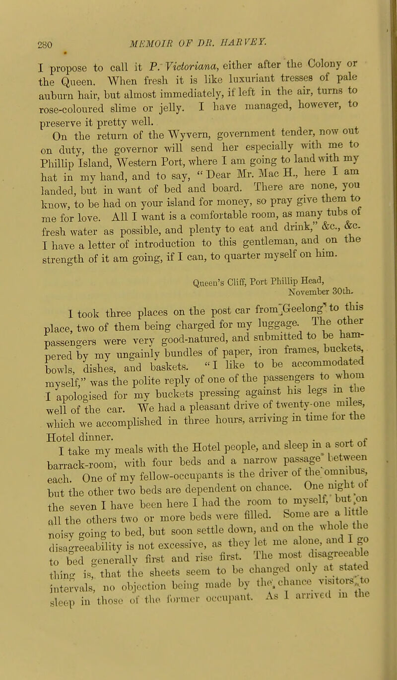 I propose to call it P. Ficfonana, either after the Colony or the Queen. When fresh it is like luxuriant tresses of pale auburn hair, but almost immediately, if left in the air, turns to rose-coloured slime or jelly. I have managed, however, to preserve it pretty well. On the return of the Wyvern, government tender, now out on duty, the governor will send her especially with me to Phillip Island, Western Port, where I am going to laud with my hat in my hand, and to say, Dear Mr. Mac H., here I am landed, but in want of bed and board. There are none, you know, to be had on your island for money, so pray give them to me for love. All I want is a comfortable room, as many tubs ot fresh water as possible, and plenty to eat and drink, &c., &c. I have a letter of introduction to this gentleman, and on the strength of it am going, if I can, to quarter myself on him. Queeu's Cliff, Port Phillip Head, November SOth. I took three places on the post car from^Geelong'to this place, two of them being charged for my luggage The other passengers were very good-natured, and submitted to be ham- pered by my ungainly bundles of paper, iron frames, buckets bowls, dishes, and baskets. I like to be accommodated myself, was the polite reply of one of the passengers to whom I apologised for my buckets pressing against his legs m tlie well of the car. We had a pleasant drive of twenty-one miles, which we accompUshed in three hours, arriving in time tor the Hotel dinner. , , . , I take my meals with the Hotel people, and sleep m a sort ot barrack-room, with four beds and a narrow passage^ between each One of my fellow-occupants is the driver of the omnibus but the other two beds are dependent on chance. One night ot the seven I have been here I had the room to myself, but on all the others two or more beds were filled. Some are a ht e noisy going to bed, but soon settle down, and on he whole the disagrteability is not excessive, as they let me alone, and I go to bed genemllv first and rise first. The most disagreeable thin- \., that the sheets seem to be changed only at stated intervals, no objection being made by the, chance visitors ^o sleep iu those of the former occupant. As 1 arrived m the