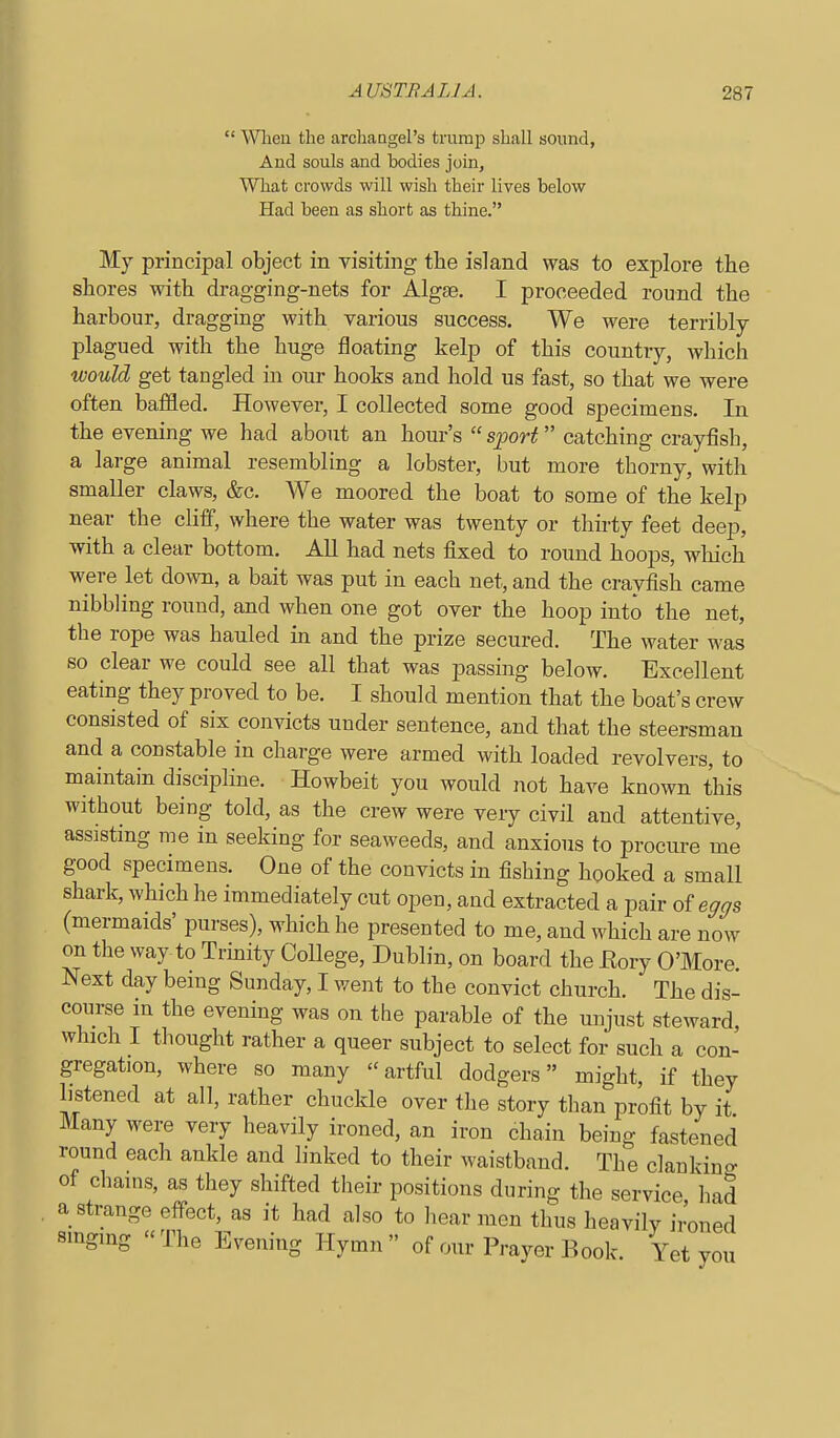  Wheu the archangel's trumiD shall sound, And souls and bodies join, What crowds will wish their lives below Had been as short as thine. My principal object in visiting the island was to explore the shores with dragging-nets for Algae. I proceeded round the harbour, dragging with various success. We were terribly plagued with the huge floating kelp of this country, which would get tangled in onr hooks and hold us fast, so that we were often baffled. However, I collected some good specimens. In the evening we had about an hour's  s;port catching crayfish, a large animal resembling a lobster, but more thorny, with smaller claws, &c. We moored the boat to some of the kelp near the cliff, where the water was twenty or thirty feet deep, with a clear bottom. All had nets fixed to round hoops, which were let Aovm, a bait was put in each net, and the crayfish came nibbling round, and when one got over the hoop into the net, the rope was hauled in and the prize secured. The water was so clear we could see all that was passing below. Excellent eating they proved to be. I should mention that the boat's crew consisted of six convicts under sentence, and that the steersman and a constable in charge were armed with loaded revolvers, to maintain discipline. Howbeit you would not have known this without being told, as the crew were very civil and attentive, assisting me in seeking for seaweeds, and anxious to procure me good specimens. One of the convicts in fishing hooked a small shark, which he immediately cut open, and extracted a pair oieggs (mermaids' purses), which he presented to me, and which are now on the way to Trmity College, Dublin, on board the Eory O'More. Next day being Sunday, I went to the convict church. The dis- course in the evening was on the parable of the unjust steward, which I thought rather a queer subject to select for such a con- gregation, where so many artful dodgers might, if they listened at all, rather chuckle over the story than profit by it Many were very heavily ironed, an iron chain being fastened round each ankle and linked to their waistband. The clanking of chains, as they shifted their positions during the service had a strange effect, as it had also to hear men thus heavilv ironed smging The Evening Hymn of our Prayer Book. Yet you