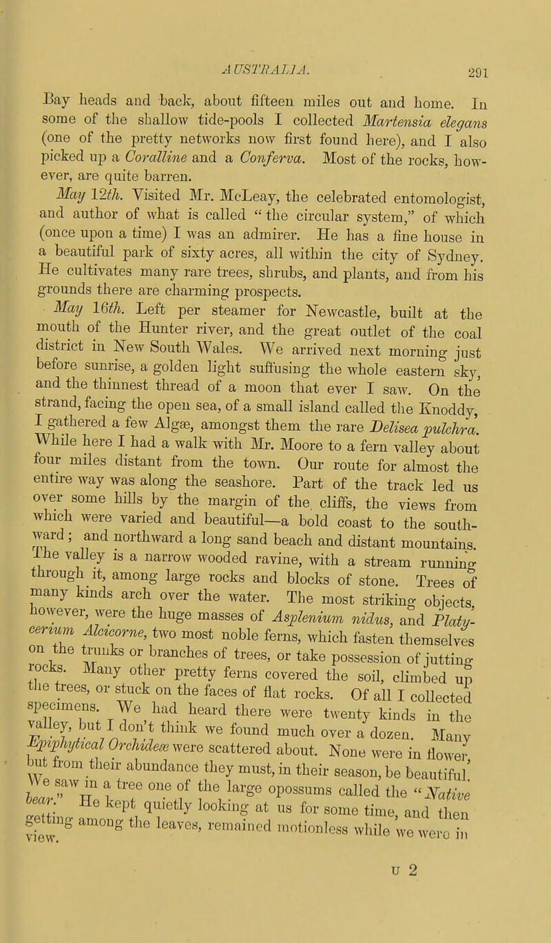 A US'lTiAJJJ. Bay heads and back, about fifteen miles out and home. In some of tlie shallow tide-pools I collected Martensia elegans (one of the pretty networks now first found here), and I also picked up a Coralline and a Conferva. Most of the rocks, how- ever, are quite barren. May 12th. Visited Mr. McLeay, the celebrated entomologist, and author of what is called  the circular system, of which (once upon a time) I was an admirer. He has a fine house in a beautiful park of sixty acres, all within the city of Sydney. He cultivates many rare trees, shrubs, and plants, and from his grounds there are charming prospects. May IQth. Left per steamer for Newcastle, built at the mouth of the Hunter river, and the great outlet of the coal district in New South Wales. We arrived next morning just before sunrise, a golden light sufiusing the whole eastern sky, and the thinnest thread of a moon that ever I saw. On the strand, facing the open sea, of a small island called the Knoddy, I gathered a few Algas, amongst them the rare Belisea pulclra While here I had a walk with Mr. Moore to a fern valley about four miles distant from the town. Om- route for almost the entn-e way was along the seashore. Part of the track led us over some hills by the margin of the cliffs, the views from which were varied and beautiful—a bold coast to the south- ward ; and northward a long sand beach and distant mountains ihe valley is a narrow wooded ravine, with a stream running through It, among large rocks and blocks of stone. Trees of many kinds arch over the water. The most striking obiects however, were the huge masses of As^lenium nidus, and Platu- cer^uM Alcicorne, two most noble ferns, which fasten themselves on the trunks or branches of trees, or take possession of jutting rocks. Many other pretty ferns covered the soil, climbed up tJie trees, or stuck on the faces of flat rocks. Of all I collected specimens. We had heard there were twenty kinds in the F zn'^Tw ''^^^ ^^^^^^ '-^^^ dozen. Many J^PWhyhcal OrMeee were scattered about. None were in flower but fi-om their abundance they must, in their season, be beautiful' bear He kept qu.etly looking at us for some time, and then getfang among the leaves, remnined n^otionless while were in u 2