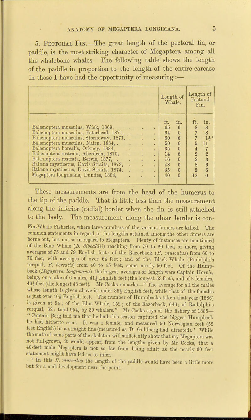 5. Pectoral Fin.—The great length of the pectoral fin, or paddle, is the most striking character of Megaptera among all the whalebone whales. The following table shows the length of the paddle in proportion to the length of the entire carcase in those I have had the opportunity of measuring :— Length of Whale. Length of Fin. ft. in. ft. in. Balsenoptera musculus, Wick, 1869, 65 6 8 8 Balffinoptera musculus, Peterliead, 1871, . 64 0 7 8 Baleenoptera musculus, Stornoway, 1871, . 60 6 7 W Balsenoptera musculus, Nairn, 1884, .... 50 0 5 11 Baltenoptera borealis, Orkney, 1884, 35 0 4 7 Balfenoptera rostrata, Aberdeen, 1870, 14 6 2 2 . Balsenoptera rostrata, Bervie, 1877, .... 16 0 2 3 Balsena mysticetus, Dayis Straits, 1873, . 48 0 8 6 Baloena mysticetus, Davis Straits, 1874, . 35 0 5 6 Megaptera longimana, Dundee, 1884, 40 0 12 0 These measurements are from the head of the humerus to the tip of the paddle. That is little less than the measurement along the inferior (radial) border when the fin is still attached to the body. The measurement along the ulnar border is con- Fin-Whale Fisheries, where large numbers of the various finners are killed. The common statements in regard to the lengths attained among the other finners are borne out, but not so in regard to Megaptera. Plenty of instances are mentioned of the Blue Whale {B. Sihhaldii) reaching from 70 to 80 feet, or more, giving averages of 75 and 79 English feet; of the Razorback {B. musculus) from 60 to 70 feet, with averages of over 64 feet; and of the Black Whale (Rudolphi's rorqual, B. lorealis) from 40 to 45 feet, some nearly 50 feet. Of the Hump- back {Megaptera longimana) the largest averages of length were Captain Horn's, being, on a take of 6 males, 41J English feet (the longest 53 feet), and of 2 females, 464 feet (the longest 48 feet). Mr Cocks remarks— The average for all the males whose length is given above is under 35i English feet, while that of the females is just over 40J English feet. The number of Humpbacks taken that year (1886) is given at 94; of the Blue Whale, 152 ; of the Razorback, 646; of Rudolphi's rorqual, 62 ; total 954, by 39 whalers. Mr Cocks says of the fishery of 1885— Captain Perg told me that he had this season captured the biggest Humpback he had hitherto seen. It was a female, and measured 50 Norwegian feet (52 feet English) in a straight line (measured as Dr Guldberg had directed). While the state of some parts of the skeleton will sufliciently show that my Megaptera was not full-grown, it would appear, from the lengths given by Mr Cocks, that a 40-feet male Megaptera is not so far from being adult as the nearly 60 feet statement might have led us to infer. 1 In this B. 7nusculus the length of the paddle would have been a little more but for a mal-dcvelopment near the point.