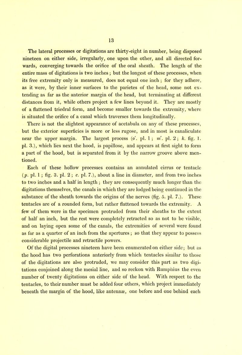 The lateral processes or digitations are thirty-eight in number, being disposed nineteen on either side, irregularly, one upon the other, and all directed for- wards, converging towards the orifice of the oral sheath. The length of the entire mass of digitations is two inches ; but the longest of these processes, when its free extremity only is measured, does not equal one inch ; for they adhere, as it were, by their inner surfaces to the parietes of the head, some not ex- tending as far as the anterior margin of the head, but terminating at different distances from it, while others project a few lines beyond it. They are mostly of a flattened triedral form, and become smaller towards the extremity, where is situated the orifice of a canal which traverses them longitudinally. There is not the slightest appearance of acetabula on any of these processes, but the exterior superficies is more or less rugose, and in most is canaliculate near the upper margin. The largest process (o', pi. 1 ; m. pi. 2 ; k. fig. 1. pi. 3.), which lies next the hood, is papillose, and appears at first sight to form a part of the hood, but is separated from it by the narrow groove above men- tioned. Each of these hollow processes contains an annulated cirrus or tentacle (p. pi. 1 ; fig. 3. pi. 2 ; c. pi. 7.), about a line in diameter, and from two inches to two inches and a half in length ; they are consequently much longer than the digitations themselves, the canals in which they are lodged being continued in the substance of the sheath towards the origins of the nerves (fig. 5. pi. 7.). These tentacles are of a rounded form, but rather flattened towards the extremity. A few of them were in the specimen protruded from their sheaths to the extent of half an inch, but the rest were completely retracted so as not to be visible, and on laying open some of the canals, the extremities of several were found as far as a quarter of an inch from the apertures ; so that they appear to possess considerable projectile and retractile powers. Of the digital processes nineteen have been enumerated on either side; but as the hood has two perforations anteriorly from which tentacles similar to those of the digitations are also protruded, we may consider this part as two digi- tations conjoined along the mesial line, and so reckon with Rumphius the even number of twenty digitations on either side of the head. With respect to the tentacles, to their number must be added four others, which project immediately beneath the margin of the hood, like antennae, one before and one behind each