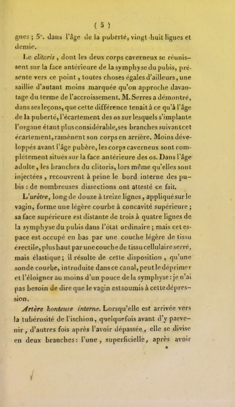 gncs ; 5. dans l'âge de la puberté, vingt -huit lignes et demie. Le clitoris , dont les deux corps caverneux se réunis- sent sur la face antérieure de la symphyse du pubis, pré- sente vers ce point, toutes choses égales d'ailleurs,une saillie d'autant moins marquée qu'on approche davan- tage du terme de l'accroissement. M. Serres a démontré, dans ses leçons, que cette différence tenait à ce qu'à l'âge de la puberté, l'écartement des os sur lesquels s'implante l'organe étant plusconsidérable,ses branchessuivanteet érartement,ramènent son corps en arrière. Moins déve- loppés avant Tâge pubère, les corps caverneux sont com- plètement situés sur la face antérieure des os. Dans l'âge adulte, les branches du clitoris, lors même qu'elles sont injectées , recouvrent à peine le bord interne des pu- bis : de nombreuses dissections ont attesté ce fait. L'urètre, long de douze à treize lignes, appliqué sur le vagin, forme une légère courbe à concavité supérieure ; sa face supérieure est distante de trois à quatre lignes de la symphyse du pubis dans l'état ordinaire ; mais cet es- pace est occupé en bas par une couche légère de tissu érectile, plushaut par une couche de tissu cellulaire serré, mais élastique; il résulte de cette disposition, qu'une sonde courbe, introduite dansée canal, peutledéprimcr et l'éloigner au moins d'un pouce de la symphyse : je n'ai pas besoin de dire que le vagin est soumis à cet le dépres- sion. Artère honteuse interne. Lorsqu'elle est arrivée vers la tubérosité de Tischion, quelquefois avant d'y parve- nir, d'autres fois après l'avoir dépassée, elle se divise en deux branches: l'une, superficielle, après avoir