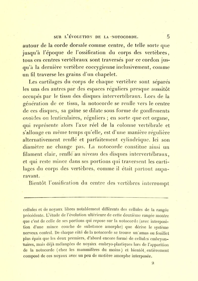 autour de la corde dorsale comme centre, de telle sorte que jusqu'à l'époque de l'ossification du corps des vertèbres, tous ces centres vertébraux sont traversés par ce cordon jus- qu'à la dernière vertèbre coccygierme inclusivement, comme un fil traverse les grains d'un chapelet. Les cartilages du corps de chaque vertèbre sont séparés les uns des autres par des espaces réguliers presque aussitôt occupés par le tissu des disques intervertébraux. Lors de la génération de ce tissu, la notocorde se renfle vers le centre de ces disques, sa gaîne se dilate sous forme de gonflements ovoïdes ou lenticulaires, réguliers ; en sorte que cet organe, qui représente alors l'axe réel de la colornie vertébrale et s'allonge en même temps qu'elle^ est d'une manière régulière alternativement renflé et parfaitement cylindrique. Ici son diamètre ne change pas. La notocorde constitue ainsi un filament clair, renflé au niveau des disques intervertébraux, et qui reste mince dans ses portions qui traversent les carti- lages du corps des vertèbres, comme il était partout aupa- ravant. Bientôt l'ossification du centre des vertèbres interrompt cellules et de noyaux libres notablement différents des cellules de la rangée précédente. L'élude de l'évolution ultérieure de cette deuxième rangée monfre que c'est de celle de ses portions qui repose sur la notocorde (avec interposi- tion d'une mince couche de substance amorphe) que dérive le système nerveux central. De chaque côté de la notocorde se trouve un amas ou feuillet plus épais que les deux premiers, d'abord encore formé de cellules embryon- naires, mais déjà mélangées de noyaux embryo-plastiques lors de l'apparition de la notocorde ( chez les mammifères du moins ) et bientôt, entièrement composé de ces noyaux avec un peu de matière amorphe interposée.