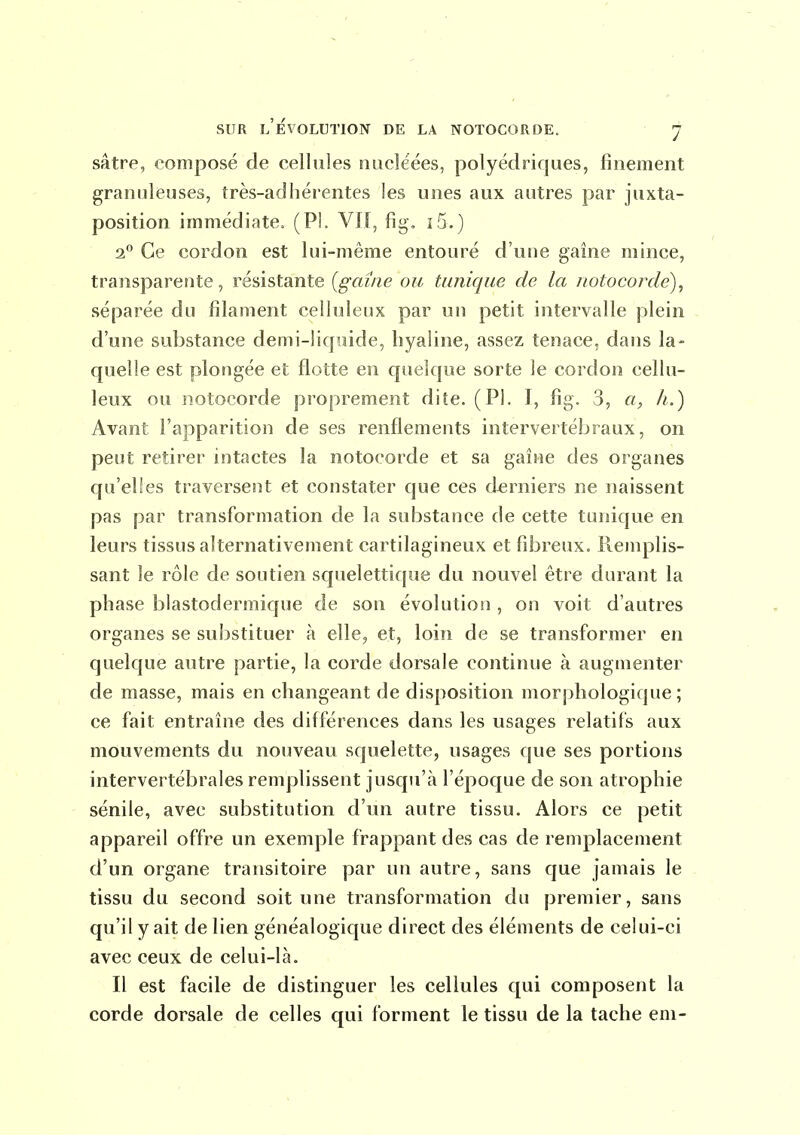 sâtre, composé de cellules nucléées, polyédriques, finement granuleuses, très-adhérentes les unes aux autres par juxta- position immédiate. (PL VU, fig\ î5.) 2 Ce cordon est lui-même entouré d'utie gaine mince, transparente, résistante {gaîiie ou tunique de la notocorde)^ séparée du filament celluleux par un petit intervalle plein d'une substance demi-liquide, hyaline, assez tenace, dans la- quelle est plongée et flotte en cpielque sorte le cordon cellu- leux ou notocorde proprement dite. (Pl. I, fig. 3, a, h.) Avant l'apparition de ses renflements intervertébraux, on peut retirer intactes la notocorde et sa gaine des organes qu'elles traversent et constater que ces derniers ne naissent pas par transformation de la substance de cette tunique en leurs tissus alternativement cartilagineux et fibreux. Pvemplis- sant le rôle de soutien squelettique du nouvel être durant la phase blastoderraique de son évolution , on voit d'autres organes se substituer à elle, et, loin de se transformer en quelque autre partie, la corde dorsale continue à augmenter de masse, mais en changeant de disposition mor|jhologique ; ce fait entraîne des différences dans les usages relatifs aux mouvements du nouveau squelette, usages que ses portions intervertébrales remplissent jusqu'à l'époque de son atrophie sénile, avec substitution d'un autre tissu. Alors ce petit appareil offre un exemple frappant des cas de remplacement d'un organe transitoire par un autre, sans que jamais le tissu du second soit une transformation du premier, sans qu'il y ait de lien généalogique direct des éléments de celui-ci avec ceux de celui-là. Il est facile de distinguer les cellules qui composent la corde dorsale de celles qui forment le tissu de la tache em-