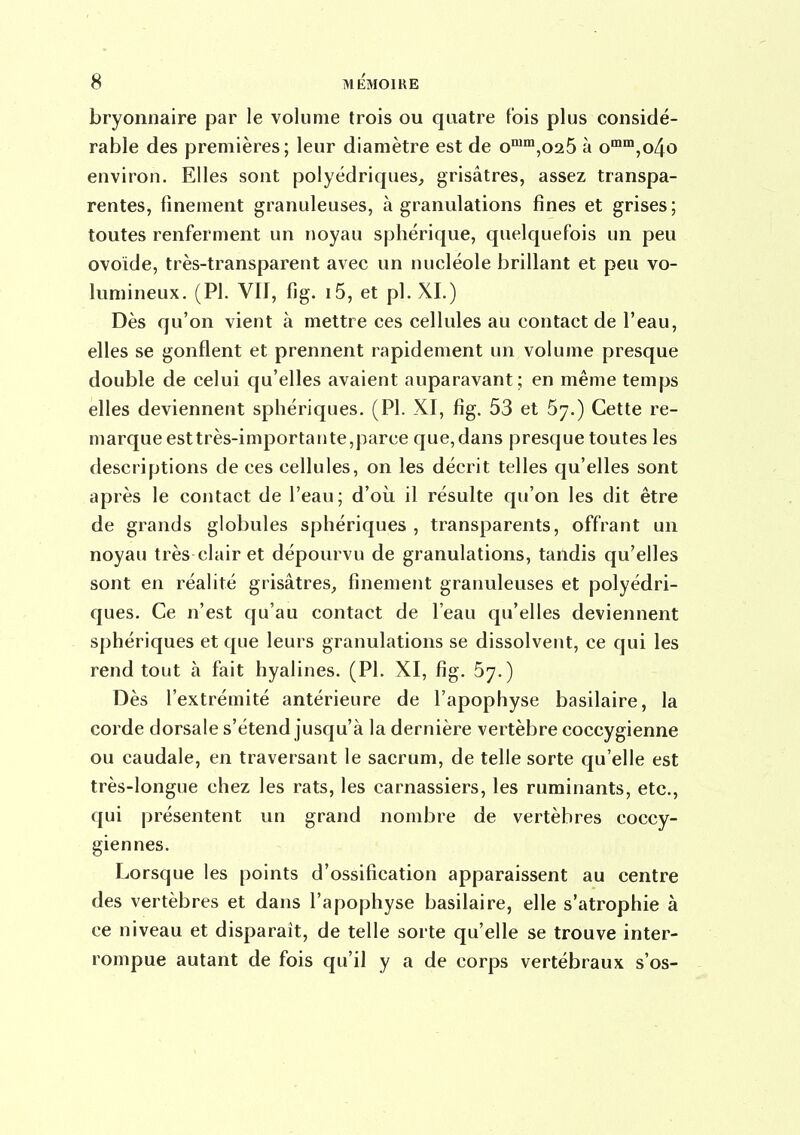 bryomiaire par le volume trois ou quatre fois plus considé- rable des premières; leur diamètre est de 0^^,00.6 à o™™,o4o environ. Elles sont polyédriques, grisâtres, assez transpa- rentes, finement granuleuses, à granulations fines et grises ; toutes renferment un noyau sphérique, quelquefois un peu ovoïde, très-transparent avec un nucléole brillant et peu vo- lumineux. (Pl. VII, fig. i5, et pl. y\I.) Dès qu'on vient à mettre ces cellules au contact de l'eau, elles se gonflent et prennent rapidement un volume presque double de celui qu'elles avaient auparavant; en même temps elles deviennent sphériques. (Pl. XI, fig. 53 et 67.) Cette re- marque est très-importante,parce que, dans presque toutes les descriptions de ces cellules, on les décrit telles qu'elles sont après le contact de l'eau; d'oii il résulte qu'on les dit être de grands globules sphériques , transparents, offrant un noyau très clair et dépourvu de granulations, tandis qu'elles sont en réalité grisâtres, finement granuleuses et polyédri- ques. Ce n'est qu'au contact de l'eau qu'elles deviennent sphériques et que leurs granulations se dissolvent, ce qui les rend tout à fait hyalines. (Pl. XI, fig, 67.) Dès l'extrémité antérieure de l'apophyse basilaire, la corde dorsale s'étend jusqu'à la dernière vertèbre coccygienne ou caudale, en traversant le sacrum, de telle sorte qu'elle est très-longue chez les rats, les carnassiers, les ruminants, etc, qui présentent un grand nombre de vertèbres coccy- giennes. Lorsque les points d'ossification apparaissent au centre des vertèbres et dans l'apophyse basilaire, elle s'atrophie à ce niveau et disparaît, de telle sorte qu'elle se trouve inter- rompue autant de fois qu'il y a de corps vertébraux s'os-