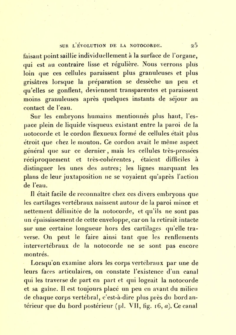 faisant point saillie individuellement à la surface de l'organe, qui est au contraire lisse et régulière. Nous verrons plus loin que ces cellules paraissent plus granuleuses et plus grisâtres lorsque la préparation se dessèche un peu et qu'elles se gonflent, deviennent transparentes et paraissent moins granuleuses après quelques instants de séjour au contact de l'eau. Sur les embryons humains mentionnés plus haut, l'es- pace plein de liquide visqueux existant entre la paroi de la notocorde et le cordon flexueux formé de cellules était plus étroit que chez le mouton. Ce cordon avait le même aspect général que sur ce dernier, mais les cellules très-pressées réciproquement et très-cohérentes, étaient difficiles à distinguer les unes des autres; les lignes marquant les plans de leur juxtaposition ne se voyaient qu'après l'action de l'eau. Il était facile de reconnaître chez ces divers embryons que les cartilages vertébraux naissent autour de la paroi mince et nettement délimitée de la notocorde, et qu'ils ne sont pas un épaississement de cette enveloppe, car on la retirait intacte sur une certaine longueur hors des cartilages qu'elle tra- verse. On peut le faire ainsi tant que les renflements intervertébraux de la notocorde ne se sont pas encore montrés. Lorsqu'on examine alors les corps vertébraux par une de leurs faces articulaires, on constate l'existence d'un canal qui les traverse de part en part et qui logeait la notocorde et sa gaine. Il est toujours placé un peu en avant du milieu de chaque corps vertébral, c'est-à-dire plus près du bord an- térieur que du bord postérieur (pl. VII, fig. i6, a). Ce canal