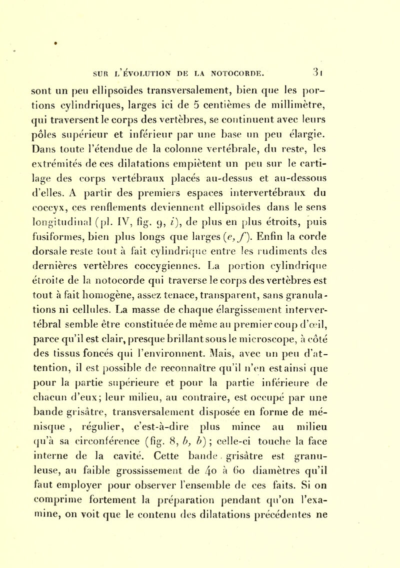 sont un peu ellipsoïdes transversalement, bien que les por- tions cylindriques, larges ici de 5 centièmes de millimètre, qui traversent le corps des vertèbres, se continuent avec leurs pôles supérieur et inférieur par une base un peu élargie. Dans toute l'étendue de la colonne vertébrale, du reste, les extrémités de ces dilatations empiètent un peu sur le carti- lage des corps vertébraux placés au-dessus et au-dessous d'elles. A partir des premiers espaces intervertébraux du coccyx, ces renflements deviennent ellipsoïdes dans le sens longitudinal (pl. IV, fîg. 9, i), de plus en plus étroits, puis fusiformes, bien plus longs que larges y). Enfin la corde dorsale reste tout à fait cyiindrif[!ie entre les rudiments des dernières vertèbres coccygiennes. La portion cylindrique étroite de la notocorde qui traverse le corps des vertèbres est tout à fait homogène, assez tenace, transparent, sans granula- tions ni cellules. La masse de chaque élargissement interver- tébral semble être constituée de même au premier coup d'œil, parce qu'il est clair, presque brillant sous le microscope, à côté des tissus foncés qui l'environnent. Mais, avec un peu d'at- tention, il est possible de reconnaître qu'il n'en est ainsi que pour la partie supérieure et pour la partie inférieure de chacun d'eux; leur milieu, au contraire, est occupé par une bande grisâtre, transversalement disposée en forme de mé- nisque , régulier, c'est-à-dire plus mince au milieu qu'à sa circonférence (fig. 8, b, b) ; celle-ci touche la face interne de la cavité. Cette bande grisâtre est granu- leuse, au faible grossissemeîit de à 60 diamètres qu'il faut employer pour observer l'ensemble de ces faits. Si on comprime fortement la préparation pendant qu'on l'exa- mine, on voit que le contenu des dilatations précédentes ne