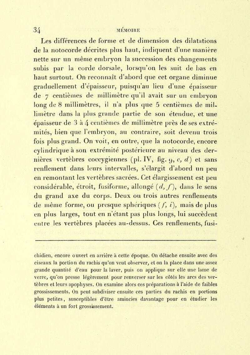 Les différences de forme et de dimension des dilatations de la notocorde décrites plus haut, indiquent d'une manière nette sur un même embryon la succession des changements subis par la corde dorsale, lorsqu'on les suit de bas en haut surtout. On reconnaît d'abord que cet organe diminue graduellement d'épaisseur, puisqu'au lieu d'une épaisseur de 7 centièmes de millimètre qu'il avait sur un embryon long de 8 millimètres, il n'a plus que 5 centièmes de mil- limètre dans la plus grande partie de son étendue, et une épaisseur de 3 à 4 centièmes de millimètre près de ses extré- mités, bien que l'embryon, au contraire, soit devenu trois fois plus grand. On voit, en outre, que la notocorde, encore cylindrique à son extrémité postérieure au niveau des der- nières vertèbres coccygiennes (pi. IV, fig. y, c, d) et sans renflement dans leurs intervalles, s'élargit d'abord un peu en remontant les vertèbres sacrées. Cet élargissement est peu considérable, étroit, fusiforme, allongé [d, f), dans le sens du grand axe du corps. Deux ou trois autres renflements de même forme, ou presque sphériques (i), mais de plus en plus larges, tout en n'étant pas plus longs, lui succèdent entre les vertèbres placées au-dessus. Ces renflements, fusi- chidien, encore ouvert en arrière à cette époque. On détache ensuite avec des ciseaux la portion du rachis qu'on veut observer, et on la place dans une assez grande quantité d'eau pour la laver, puis on applique sur elle une lame de verre, qu'on presse légèrement pour renverser sur les côtés les arcs des ver- tèbres et leurs apophyses. On examine alors ces préparations à l'aide de faibles grossissements. On peut subdiviser ensuite ces parties du rachis en portions plus petites, susceptibles d'être amincies davantage pour en étudier les éléments à un fort grossissement.