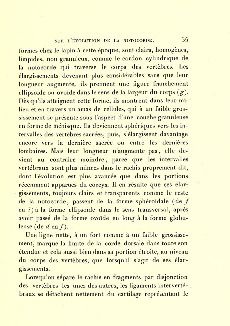 formes chez le lapin à cette époque, sont clairs, homogènes, limpides, non granuleux, comme le cordon cylindrique de la notocorde qui traverse le corps des vertèbres, l.es élargissements devenant plus considérables sans que leur longueur augmente, ils prennent une figure franchement ellipsoïde ou ovoïde dans le sens de la largeur du corps {g). Dès qu'ils atteignent cette forme, ils montrent dans leur mi- lieu et en travers un amas de ceHules, qui à un faible gros- sissement se présente sous l'aspect d'une couche granuleuse en forme de ménisque. Ils deviennent sphériques vers les in- tervalles des vertèbres sacrées, puis, s'élargissent davantage encore vers la dernière sacrée ou entre les dernières lombaires. Mais leur longueur n'augmente pas, elle de- vient au contraire moindre, parce que les intervalles vertébraux sont plus minces dans le rachis proprement dit, dont l'évolution est plus avancée que dans les portions récemment apparues du coccyx. Il en résulte que ces élar- gissements, toujours clairs et transparents comme le reste de la notocorde, passent de la forme sphéroïdale (dey en «) à la forme ellipsoïde dans le sens transversal, après avoir passé de la forme ovoïde en long à la forme globu- leuse (de d en y). Une ligne nette, à un fort comme à un faible grossisse- ment, marque la limite de la corde dorsale dans toute son étendue et cela aussi bien dans sa portion étroite, au niveau du corps des vertèbres, que lorsqu'il s'agit de ses élar- gissements. Lorsqu'on sépare le rachis en fragments par disjonction des vertèbres les unes des autres, les ligaments interverté- braux se détachent nettement du cartilage représentant le