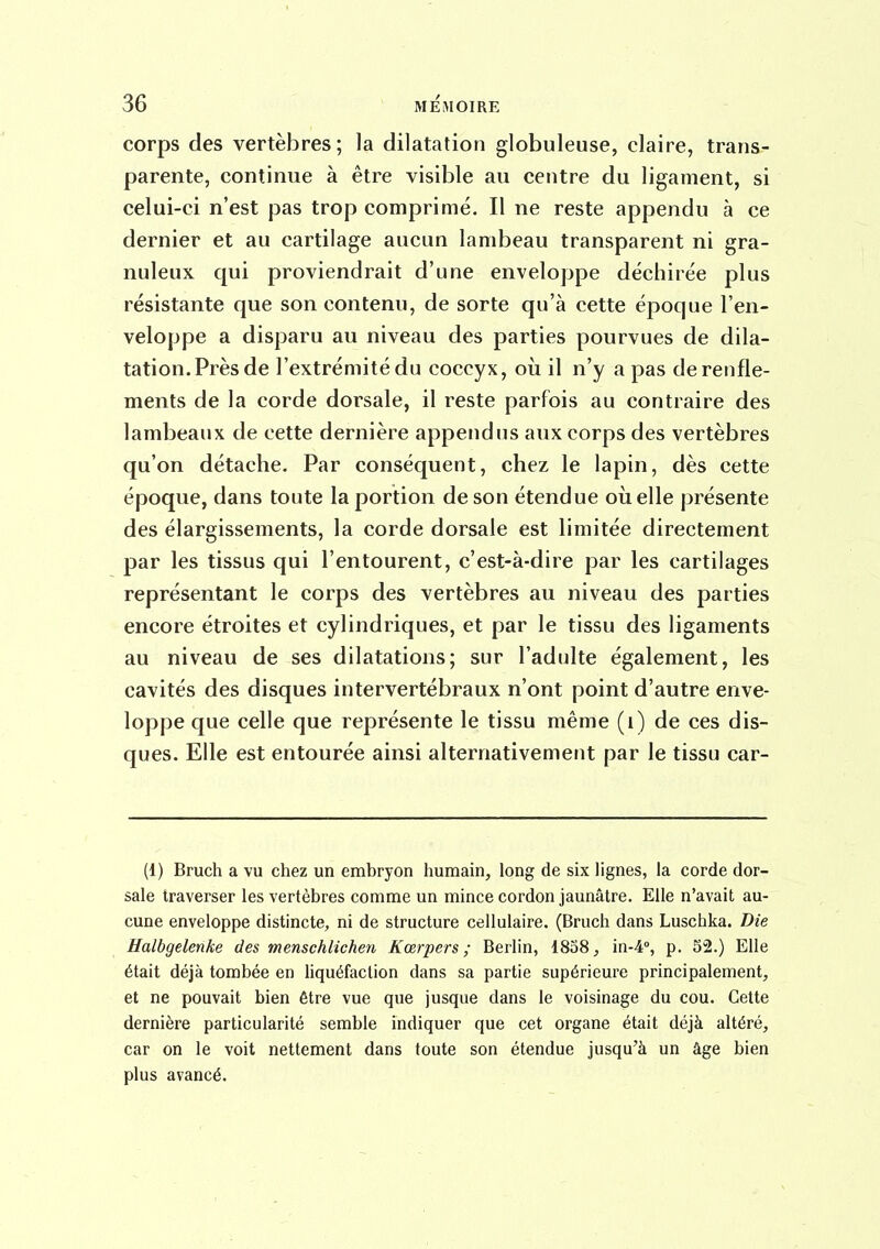 corps des vertèbres; la dilatation globuleuse, claire, trans- parente, continue à être visible au centre du ligament, si celui-ci n'est pas trop comprimé. Il ne reste appendu h ce dernier et au cartilage aucun lambeau transparent ni gra- nuleux qui proviendrait d'une enveloppe déchirée plus résistante que son contenu, de sorte qu'à cette époque l'en- veloppe a disparu au niveau des parties pourvues de dila- tation. Près de l'extrémité du coccyx, où il n'y a pas de renfle- ments de la corde dorsale, il reste parfois au contraire des lambeaux de cette dernière appendus aux corps des vertèbres qu'on détache. Par conséquent, chez le lapin, dès cette époque, dans toute la portion de son étendue où elle présente des élargissements, la corde dorsale est limitée directement par les tissus qui l'entourent, c'est-à-dire par les cartilages représentant le corps des vertèbres au niveau des parties encore étroites et cylindriques, et par le tissu des ligaments au niveau de ses dilatations; sur l'adulte également, les cavités des disques intervertébraux n'ont point d'autre enve- loppe que celle que représente le tissu même (i) de ces dis- ques. Elle est entourée ainsi alternativement par le tissu car- (1) Bruch a vu chez un embryon humain, long de six lignes, la corde dor- sale traverser les vertèbres comme un mince cordon jaunâtre. Elle n'avait au- cune enveloppe distincte, ni de structure cellulaire. (Bruch dans Luschka. Die Ealbgelenke des menschlichen Kœrpers ; Berlin, 1838 ^ in-4°, p. 52.) Elle était déjà tombée en hquéfaclion dans sa partie supérieure principalement, et ne pouvait bien être vue que jusque dans le voisinage du cou. Cette dernière particularité semble indiquer que cet organe était déjà altéré, car on le voit nettement dans toute son étendue jusqu'à un âge bien plus avancé.