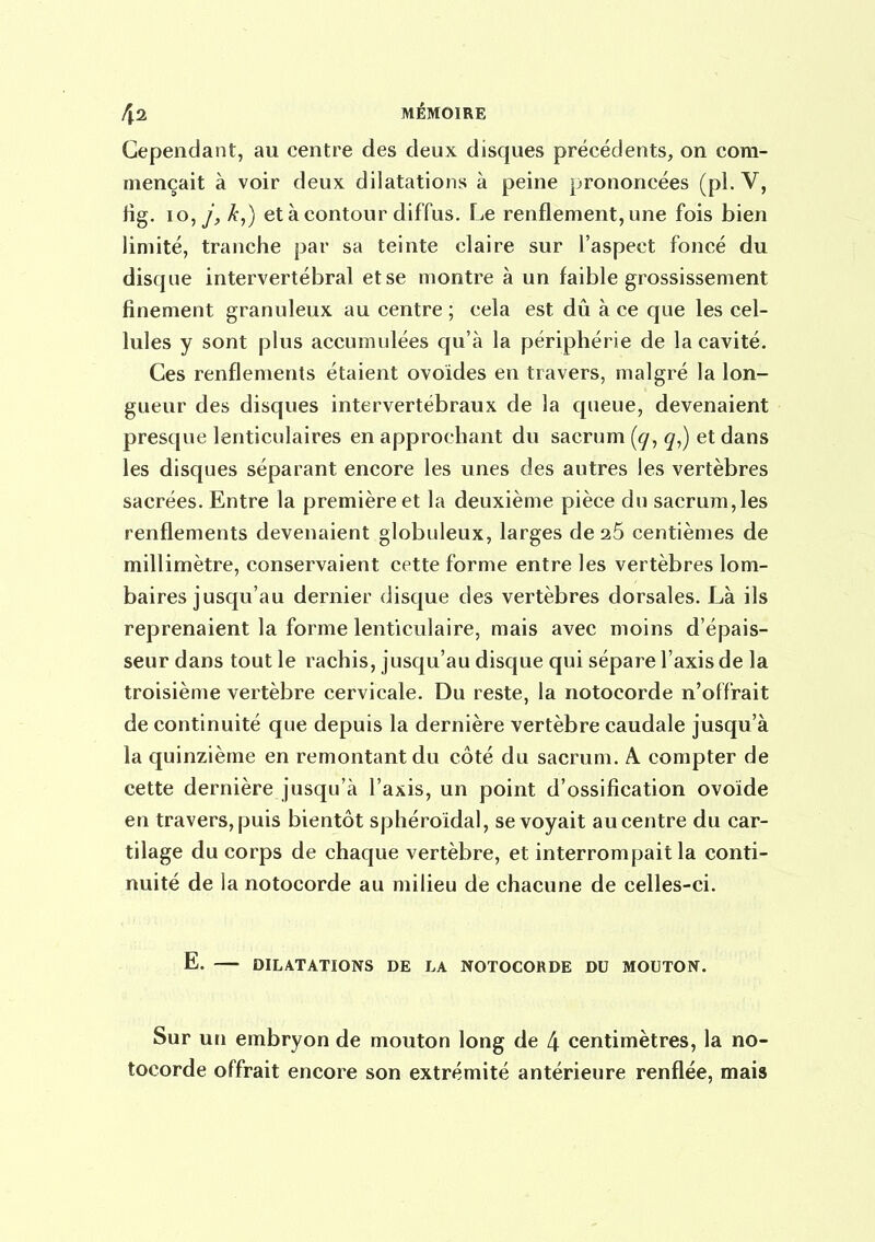 Cependant, au centre des deux disques précédents, on com- mençait à voir deux dilatations à peine prononcées (pl. V, Hg. io,y, k,) et à contour dif fus. Le renflement, une fois bien limité, tranche par sa teinte claire sur l'aspect foncé du disque intervertébral et se montre à un faible grossissement finement granuleux au centre ; cela est dû à ce que les cel- lules y sont plus accumulées qu'à la périphérie de la cavité. Ces renflements étaient ovoïdes en travers, malgré la lon- gueur des disques intervertébraux de la queue, devenaient presque lenticulaires en approchant du sacrum [g, q^) et dans les disques séparant encore les unes des autres les vertèbres sacrées. Entre la première et la deuxième pièce du sacrum, les renflements devenaient globuleux, larges de 26 centièmes de millimètre, conservaient cette forme entre les vertèbres lom- baires jusqu'au dernier disque des vertèbres dorsales. Là ils reprenaient la forme lenticulaire, mais avec moins d'épais- seur dans tout le rachis, jusqu'au disque qui sépare l'axis de la troisième vertèbre cervicale. Du reste, la notocorde n'offrait de continuité que depuis la dernière vertèbre caudale jusqu'à la quinzième en remontant du côté du sacrum. A compter de cette dernière jusqu'à l'axis, un point d'ossification ovoïde en travers, puis bientôt sphéroïdal, se voyait au centre du car- tilage du corps de chaque vertèbre, et interrompait la conti- nuité de la notocorde au milieu de chacune de celles-ci. E. DILATATIONS DE LA NOTOCORDE DU MOUTON. Sur un embryon de mouton long de 4 centimètres, la no- tocorde offrait encore son extrémité antérieure renflée, mais