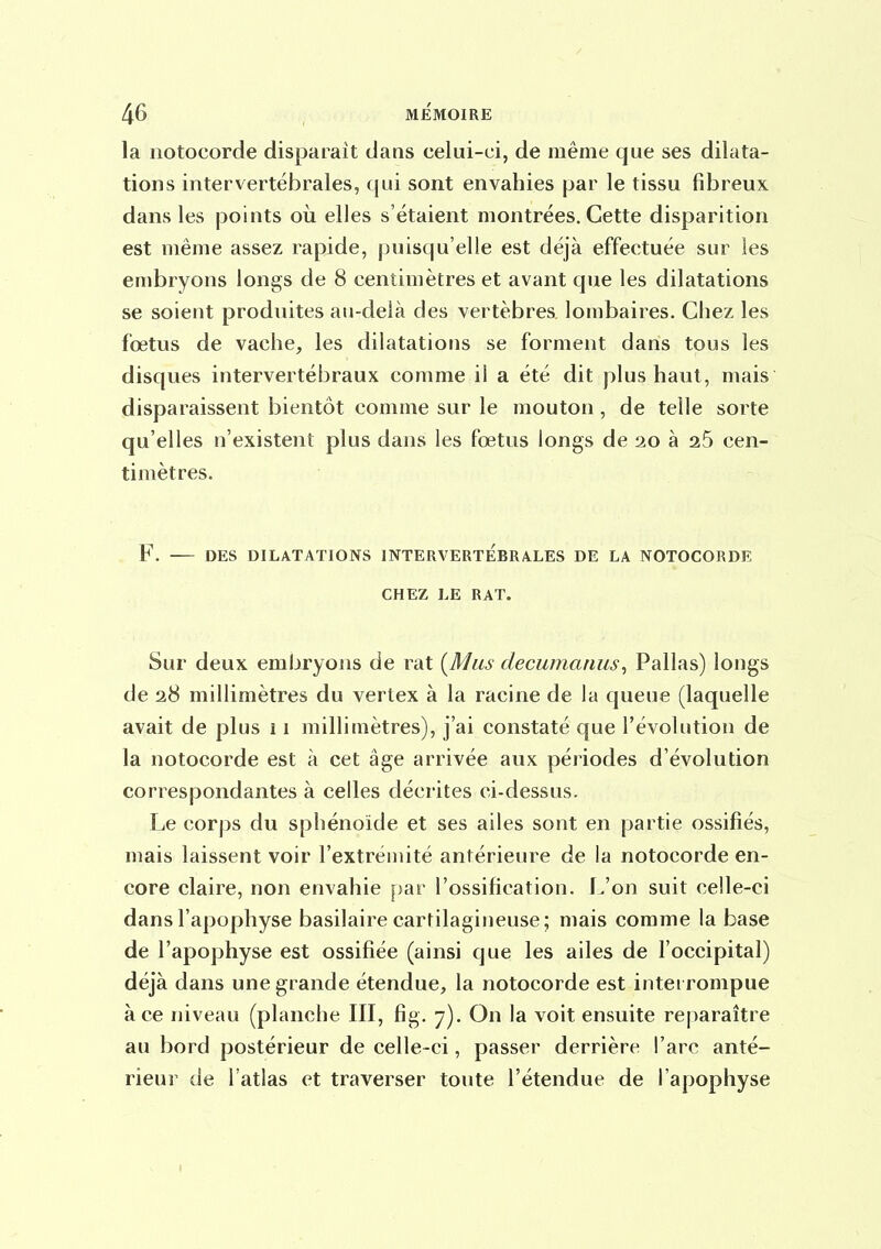 la iiotocorde disparaît dans celui-ci, de même que ses dilata- tions intervertébrales, qui sont envahies par le tissu fibreux dans les points oii elles s'étaient montrées. Cette disparition est même assez rapide, puisqu'elle est déjà effectuée sur les embryons longs de 8 centimètres et avant que les dilatations se soient produites au-delà des vertèbres lombaires. Chez les fœtus de vache, les dilatatiofis se forment dans tous les disques intervertébraux comme il a été dit plus haut, mais disparaissent bientôt comme sur le mouton, de telle sorte qu'elles n'existent plus dans les fœtus longs de 20 à 25 cen- timètres. F. DES DILATATIONS INTERVERTEBRALES DE LA NOTOCORDE CHEZ LE RAT. Sur deux embryons de rat {Mus decumanus^ Pallas) longs de 28 millimètres du vertex à la racine de la queue (laquelle avait de plus 11 millimètres), j'ai constaté que l'évolution de la notocorde est à cet âge arrivée aux périodes d'évolution correspondantes à celles décrites ci-dessus. Le corps du sphénoïde et ses ailes sont en partie ossifiés, mais laissent voir l'extrémité antérieure de la notocorde en- core claire, non envahie [)ar l'ossification. L'on suit celle-ci dans l'apophyse basilaire cartilagineuse; mais comme la base de l'apophyse est ossifiée (ainsi que les ailes de l'occipital) déjà dans une grande étendue, la notocorde est interrompue à ce niveau (planche III, fig. 7). On la voit ensuite reparaître au bord postérieur de celle-ci, passer derrière l'arc anté- rieur de l'atlas et traverser toute l'étendue de l'apophyse