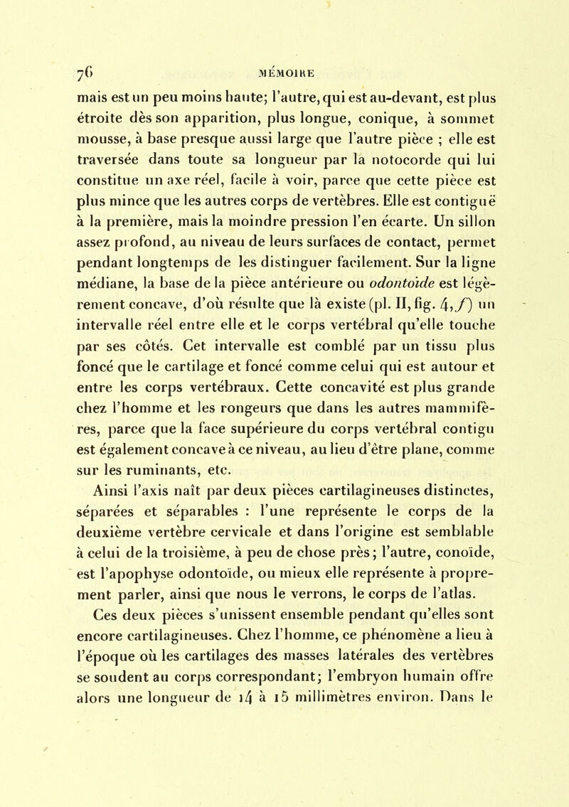 mais est un peu moins hante; l'autre, qui est au-devant, est plus étroite dès son apparition, plus longue, conique, à sommet mousse, à base presque aussi large que l'autre pièce ; elle est traversée dans toute sa longueur par la notocorde qui lui constitue un axe réel, facile à voir, parce que cette pièce est plus mince que les autres corps de vertèbres. Elle est contiguë à la première, mais la moindre pression l'en écarte. Un sillon assez profond, au niveau de leurs surfaces de contact, permet pendant longtemps de les distinguer facilement. Sur la ligne médiane, la base de la pièce antérieure ou odontoïde est légè- rement concave, d'où résulte que là existe (pl. II, fig. 4?/) 'i intervalle réel entre elle et le corps vertébral qu'elle touche par ses côtés. Cet intervalle est comblé par un tissu plus foncé que le cartilage et foncé comme celui qui est autour et entre les corps vertébraux. Cette concavité est plus grande chez l'homme et les rongeurs que dans les autres mammifè- res, parce que la face supérieure du corps vertébral contigu est également concave à ce niveau, au lieu d'être plane, comme sur les ruminants, etc. Ainsi l'axis naît par deux pièces cartilagineuses distinctes, séparées et séparables : l'une représente le corps de la deuxième vertèbre cervicale et dans l'origine est semblable à celui de la troisième, à peu de chose près; l'autre, conoide, est l'apophyse odontoïde, ou mieux elle représente à propre- ment parler, ainsi que nous le verrons, le corps de l'atlas. Ces deux pièces s'unissent ensemble pendant qu'elles sont encore cartilagineuses. Chez l'homme, ce phénomène a lieu à l'époque où les cartilages des masses latérales des vertèbres se soudent au corps correspondant; l'embryon humain offre alors une longueur de i4 à i5 millimètres environ. Dans le