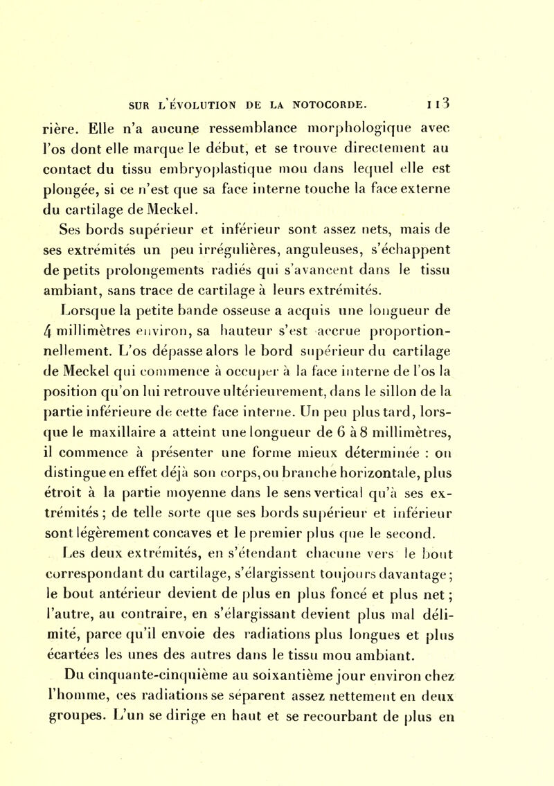 rière. Elle n'a aucune ressemblance morphologique avec l'os dont elle marque le début, et se trouve direclement au contact du tissu embryoplastique mou dans lequel elle est plongée, si ce n'est que sa face interne touche la face externe du cartilage deMeckel. Ses bords supérieur et inférieur sont assez nets, mais de ses extrémités un peu irrégulières, anguleuses, s'échappent de petits prolongements radiés qui s'avancent dans le tissu ambiant, sans trace de cartilage à leurs extrémités. Lorsque la petite bande osseuse a acquis une longueur de 4 millimètres environ, sa hauteur s'est accrue proportion- nellement. L'os dépasse alors le bord supérieur du cartilage de Meckel qui conimence à occuper à la face interne de l'os la position qu'on lui retrouve ultérieurement, dans le sillon de la partie inférieure de cette face interne. Un peu plus tard, lors- que le maxillaire a atteint une longueur de 6 à8 millimètres, il commence à présenter une forme mieux déterminée : on distingue en effet déjà son corps, ou branche horizontale, plus étroit à la partie moyenne dans le sens vertical qu'à ses ex- trémités; de telle sorte que ses bords supérieur et inférieur sont légèrement concaves et le premier plus que le second. Les deux extrémités, en s'étendant chacune vers le bout correspondant du cartilage, s'élargissent toujours davantage ; le bout antérieur devient de plus en plus foncé et plus net ; l'autre, au contraire, en s'élargissant devient plus mal déli- mité, parce qu'il envoie des radiations plus longues et plus écartées les unes des autres dans le tissu mou ambiant. Du cinquante-cinquième au soixantième jour environ chez l'homme, ces radiations se séparent assez nettement en deux groupes. L'un se dirige en haut et se recourbant de plus en