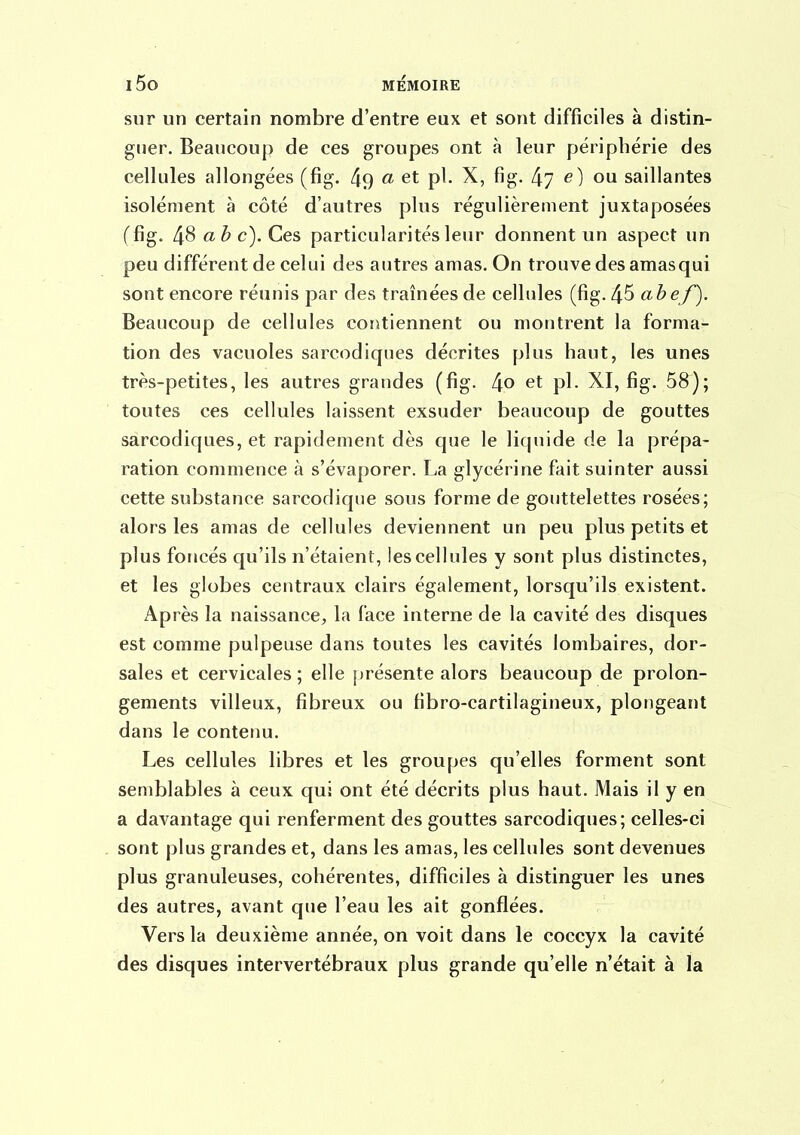 sur un certain nombre d'entre eux et sont difficiles à distin- guer. Beaucoup de ces groupes ont à leur périphérie des cellules allongées (fig. ^9 et pl. X, fig. 47 ou saillantes isolément à côté d'autres plus régulièrement juxtaposées ffig. 48 abc). Ces particularités leur donnent un aspect un peu différent de celui des autres amas. On trouve des amasqui sont encore réunis par des traînées de cellules (fig. abef). Beaucoup de cellules corîtiennent ou montrent la forma- tion des vacuoles sarcodiques décrites plus haut, les unes très-petites, les autres grandes (fig. \o et pl. XI, fig. 58); toutes ces cellules laissent exsuder beaucoup de gouttes sarcodiques, et rapidement dès que le liquide de la prépa- ration commence à s'évaporer. La glycérine fait suinter aussi cette substance sarcodiqne sous forme de gouttelettes rosées; alors les amas de cellules deviennent un peu plus petits et plus foncés qu'ils n'étaient, les cellules y sont plus distinctes, et les globes centraux clairs également, lorsqu'ils existent. Après la naissance, la face interne de la cavité des disques est comme pulpeuse dans toutes les cavités lombaires, dor- sales et cervicales ; elle [)résente alors beaucoup de prolon- gements villeux, fibreux ou fibro-cartilagineux, plongeant dans le contenu. Les cellules libres et les groupes qu'elles forment sont semblables à ceux qui ont été décrits plus haut. Mais il y en a davantage qui renferment des gouttes sarcodiques ; celles-ci sont plus grandes et, dans les amas, les cellules sont devenues plus granuleuses, cohérentes, difficiles à distinguer les unes des autres, avant que l'eau les ait gonflées. Vers la deuxième année, on voit dans le coccyx la cavité des disques intervertébraux plus grande qu'elle n'était à la