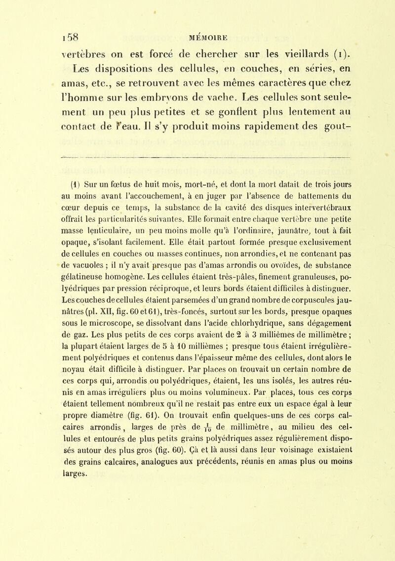 vertèbres on est forcé de chercher sur les vieillards (i). Les dispositions des cellules, en couches, en séries, en amas, etc., se retrouvent avec les mêmes caractères que chez l'homme sur les embryons de vache. Les cellules sont seule- ment un peu plus petites et se gonflent plus lentement au contact de Feau. Il s'y produit moins rapidement des gout- (1) Sur un fœtus de huit mois, mort-né, et dont la mort datait de trois jours au moins avant l'accouchement, à en juger par l'absence de battements du cœur depuis ce temps, la substance de la cavité des disques intervertébraux offrait les particularités suivantes. Elle formait entre chaque vertèbre une petite masse lenticulaire, un peu moins molle qu'à l'ordinaire, jaunâtre, tout à fait opaque, s'isolant facilement. Elle était partout formée presque exclusivement de cellules en couches ou masses continues, non arrondies, et ne contenant pas de vacuoles ; il n'y avait presque pas d'amas arrondis ou ovoïdes, de substance gélatineuse homogène. Les cellules étaient très-pâles, finement granuleuses, po- lyédriques par pression réciproque, et leurs bords étaient difficiles à distinguer. Les couches de cellules étaient parsemées d'un grand nombre de corpuscules jau- nâtres (pl. XII, fig. 60 et 61), très-foncés, surtout sur les bords, presque opaques sous le microscope, se dissolvant dans l'acide chlorhydrique, sans dégagement de gaz. Les plus petits de ces corps avaient de 2 à 3 millièmes de millimètre ; la plupart étaient larges de 5 à 10 milHèmes ; presque tous étaient irrégulière- ment polyédriques et contenus dans l'épaisseur même des cellules, dont alors le noyau était difficile à distinguer. Par places on trouvait un certain nombre de ces corps qui, arrondis ou polyédriques, étaient, les uns isolés, les autres réu- nis en amas irréguliers plus ou moins volumineux. Par places, tous ces corps étaient tellement nombreux qu'il ne restait pas entre eux un espace égal à leur propre diamètre (fig. 61). On trouvait enfin quelques-uns de ces corps cal- caires arrondis, larges de près de de millimètre, au milieu des cel- lules et entourés de plus petits grains polyédriques assez régulièrement dispo- sés autour des plus gros (fig. 60). Çà et là aussi dans leur voisinage existaient ries grains calcaires, analogues aux précédents, réunis en amas plus ou moins larges.