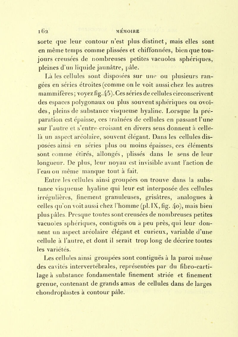 il 162 MÉMOIRE sorte que leur contour n'est plus distinct, mais elles sont en même temps comme plissées et chiffonnées, bien que tou- jours creusées de nombreuses petites vacuoles sphériques, pleines d'un liquide jaunâtre, pâle. Là les cellules sont disposées sur une ou plusieurs ran- gées en séries étroites (comme on le voit aussi chez les autres mammifères ; voyez fig. 45). Ces séries de cellules circonscrivent des espaces polygonaux ou plus souvent sphériques ou ovoï- des, pleins de substance visqueuse hyaline. Lorsque la pré- paration est épaisse, ces îraînées de cellules en passant l'une sur l'autre et s'entre croisant en divers sens donnent à celle- là un aspect aréolaire, souvent élégant. Dans les cellules dis- posées ainsi en séries plus ou moins épaisses, ces éléments sont comme étirés, allongés, plissés dans le sens de leur longueur. De plus, leur noyau est invisible avant l'action de l'eau ou même manque tout à fait. Entre les cellules ainsi groupées on trouve dans la subs- tance visqueuse hyaline qui leur est interposée des cellules irrégulières, finemetit granuleuses, grisâtres, analogues à celles qu'on voit aussi chez l'homme (pl. IX, fig. 4o), mais bien plus pâles. Presque toutes sont creusées de nombreuses petites vacuoles sphériques, contiguës ou à peu près, qui leur don- nent un aspect aréolaire élégant et curieux, variable d'une cellule à l'autre, et dont il serait trop long de décrire toutes les variétés. Les cellules ainsi groupées sont contiguës à la paroi même des cavités intervertébrales, représentées par du fibro-carti- lage à substance fondamentale finement striée et finement grenue, contenant de grands amas de cellules dans de larges chondroplastes à contour pâle.
