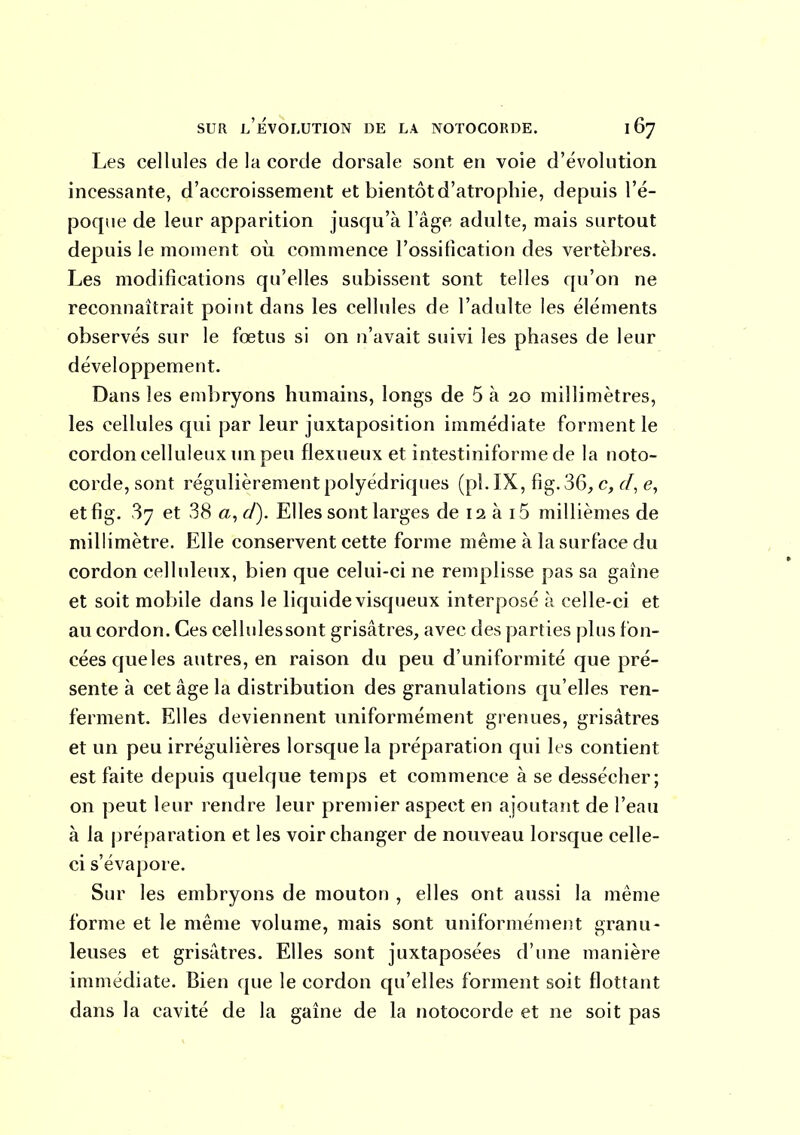 Les cellules de la corde dorsale sont en voie d'évolution incessante, d'accroissement et bientôt d'atrophie, depuis l'é- poque de leur apparition jusqu'à l'âge adulte, mais surtout depuis le moment où commence l'ossification des vertèbres. Les modifications qu'elles subissent sont telles qu'on ne reconnaîtrait point dans les cellules de l'adulte les éléments observés sur le fœtus si on n'avait suivi les phases de leur développement. Dans les embryons humains, longs de 5 à 20 millimètres, les cellules qui par leur juxtaposition immédiate forment le cordon celluleux un peu flexneux et intestiniforme de la noto- corde, sont régulièrement polyédriques (pl. IX, fig. 36;, c, d, e, etfig. 37 et 38 a^d). Elles sont larges de 12 à i5 millièmes de millimètre. Elle conservent cette forme même à la surface du cordon celluleux, bien que celui-ci ne remplisse pas sa gaine et soit mobile dans le liquide visqueux interposé à celle-ci et au cordon. Ces celhilessont grisâtres, avec des parties plus fon- cées que les autres, en raison du peu d'uniformité que pré- sente à cet âge la distribution des granulations qu'elles ren- ferment. Elles deviennent uniformément grenues, grisâtres et un peu irrégulières lorsque la préparation qui les contient est faite depuis quelque temps et commence à se dessécher; on peut leur rendre leur premier aspect en ajoutant de l'eau à la jjréparation et les voir changer de nouveau lorsque celle- ci s'évapore. Sur les embryons de mouton , elles ont aussi la même forme et le même volume, mais sont uniformément granu- leuses et grisâtres. Elles sont juxtaposées d'une manière immédiate. Bien que le cordon qu'elles forment soit flottant dans la cavité de la gaine de la notocorde et ne soit pas