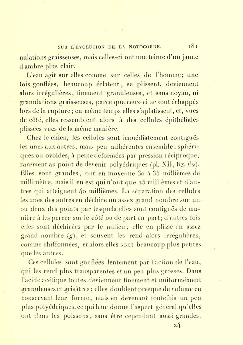 nulations graisseuses, mais celles-ci ont une teinte d'un jaune d'ambre plus clair. L'eau agit sur elles comme sur celles de l'homme; une fois gonflées, beaucoup t'clatent, se plissent, deviennent alors irrégulières, finenient granuleuses, et sans noyau, ni granulations graisseuses, parce (jue ceux-ci se sont échappés lors de la rupture ; en même temps elles s'aplatissent, et, vues de côté, elles ressemblent alors à des cellules é!)ithéliales plissées vues de la même manière. Chez le chien, les cellules sont immédiatement contiguës les unes aux auti'es, mais peu adhérentes ensemble, sphéri- ques ou ovoïdes, à peine déformées par pression l éciproque, rarement au poijit de devenir polyédriques (pl. XII, lig. ir2). Elles sont grandes, ont en moyenne 3o à 35 millièmes de millimètre, niais il en est quin'ont que millièmes et d'au- tres qui atteignent 4o millièmes. La séparation des cellules les unes des autres en déchire un assez gi and nonibi'e sur un ou deux des points par lesquels elles sont contigr.ës de ma- nière à les percer sur le côté ou de part en part; d'autres fois elles sont déchirées par le milieu; elle en j)lisse un assez grand nosubre (^'■), et souvent les rend alors irrégulière», comme chiffonnées, et alors elles sont beaucoup plus petites que les autres. Ces cellules sont gonflées lentement par l'action de l'eau, qui les rend plus transparentes et un peu plus grosses. Dans l'acide acétique toutes deviennent finement et uniformément granuleuses et grisâtres; elles doublent presque de volume en conservant leur forme, mais en devenaiit toutefois un peu plus j)olyédrifjues, ce qui leur donne l'aspect général qu'elles ont dans les poissons, sajis être cependant aussi grandes. 24