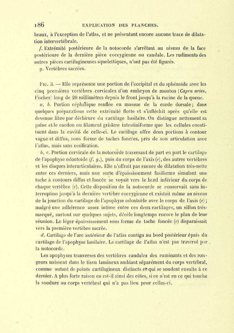 braux, à l'exception de l'atlas, et ne présentant encore aucune trace de dilata- tion intervertébrale. f. Extrémité postérieure de la notocorde s'arrêtant au niveau de la face postérieure de la dernière pièce coccygienne ou caudale. Les rudiments des autres pièces carlilagineuses squelettiques, n'ont pas été figurés. g. Vertèbres sacrées. FUt. 3. — Elle représente une portion de rcccipital et du sphénoïde avec les cinq premières vertèbres cervicales d'un embryon de mouton {Capra aries, Fischer) long de 20 millimètres depuis le front jusqu'à la racine de la queue. a, b. Portion céphaliquo renflée en massue de la corde dorsale ; dans quelques préparations cette extrémité flotte et s'infléchit après qu'elle est devenue libre par déchirure du cartilage basiiaire. On distingue nettement sa gaîne et le cordon ou filament grisâtre intestiniforme que les cellules consti- tuent dans la cavité de celle-ci. Le cartilage offre deux portions à contour vague et diffus, sous forme de taches foncées, près de son articulation avec l'atlas, mais sans ossification. b, c. Portion cervicale de la notocorde traversant de part en part le cartilage de l'apophyse odontoïde {f. g.), puis du corps de l'axis(e), des autres vertèbres et les disques interarticulaires. Elle n'offrait pas encore de dilatation très-nette entre ces derniers, mais une sorte d'épaississement fusiforme simulant une tache à contours diffus et foncée se voyait vers le bord inférieur du corps de chaque vertèbre [c). Cette disposition de la notocorde se conservait sans in- terruption jusqu'à la dernière vertèbre coccygienne et existait même au niveau de la jonction du cartilage de l'apophyse odontoïde avec le corps de l'axis (e); malgré une adhérence assez intime entre ces deux cartilages^ un sillon très- marqué, surtout sur quelques sujets, décèle longtemps encore le plan de leur réunion. Le léger épaississement sous forme de tache foncée {c) disparaissait vers la première vertèbre sacrée. d. Cartilage de l'arc antérieur de l'atlas contigu au bord postérieur épais du cartilage de l'apophyse basiiaire. Le cartilage de l'atlas n'est pas traversé par la notocorde. Les apophyses tranverses des vertèbres caudales des ruminants et des ron- geurs naissent dans le tissu lamineux ambiant séparément du corps vertébral, comme autant de points cartilagineux distincts etrqui se soudent ensuite à ce dernier. A plus forte raison en est-il ainsi des côtes, si ce n'est en ce qui touche la soudure au corps vertébral qui n'a pas lieu pour celles-ci.