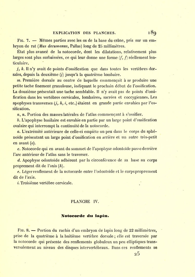 FiG. 7. — Mêmes parties avec les os de la base du crâne, pris sur un em- bryon de rat {Mus decumanus, Pallas) long de 23 millimètres. État plus avancé de la nolocorde, dont les dilatations, relativement plus larges sont plus surbaissées, ce qui leur donne une forme {f, f] réellement len- ticulaire. /, k. Il n'y avait de points d'ossification que dans toutes les vertèbres dor- sales, depuis la deuxième (/) jusqu'à la quatrième lombaire. m. Première dorsale au centre de laquelle commençait à se produire une petite tache finement granuleuse, indiquant le prochain début de l'ossification. La douzième présentait une tache semblable. Il n'y avait pas de points d'ossi- fication dans les vertèbres cervicales, lombaires, sacrées et coccygiennes. Les apophyses transverses {j, h, i, etc.) étaient en grande partie envahies par l'os- sitication. n. Portion des masses latérales de l'atlas commençant à s'ossifier. b. L'apophyse basilaire est envahie en partie par un large point d'ossification ovalaire qui interrompt la continuité de la notocorde. a. L'extrémité antérieure de celle-ci empiète un peu dans le corps du sphé- noïde présentant un large point d'ossification en arrière et un autre très-petit en avant (0). c. Nolocorde qui en avant du sommet de l'apophyse odontoïde pas.se derrière l'arc antérieur de l'atlas sans le traverser. d. Apophyse odontoïde adhérent par la circonférence de sa base au corps proprement dit de l'axis {h). e. Léger renflement de la notocorde entre l'odontoïde et le corps proprement dit de l'axis. i. Troisième vertèbre cervicale. PLANCHE IV. IVotoeorde du lapin. FiG. 8. — Portion du rachis d'un embryon de lapin long de 22 millimètres, prise de la quatrième à la huitième vertèbre dorsale ; elle est traversée par la notocorde qui présente des renflements globuleux un peu elliptiques trans- versalement au niveau des disques intervertébraux. Dans ces renflements se 25