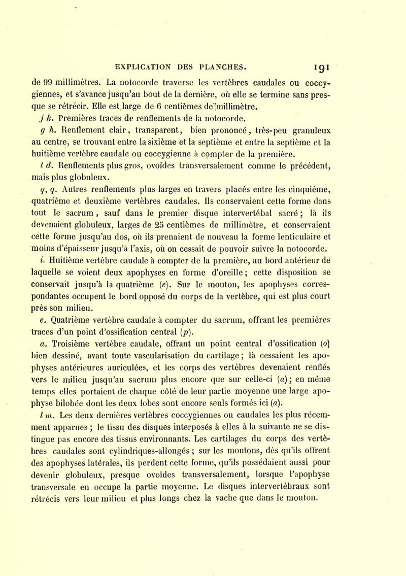 de 99 millimètres. La notocorde traverse les vertèbres caudales ou coccy- giennes, et s'avance jusqu'au bout de la dernière, où elle se termine sans pres- que se rétrécir. Elle est large de 6 centièmes de ■millimètre. j k. Premières traces de renflements de la notocorde. g h. Rentlement clair, transparent, bien prononcé, très-peu granuleux au centre, se trouvant entre la sixième et la septième et entre la septième et la huitième vertèbre caudale ou coccygienne à compter de la première. t d. Renflements plus gros, ovoïdes transversalement comme le précédent, mais plus globuleux. q, q. Autres renflements plus larges en travers placés entre les cinquième, quatrième et deuxième vertèbres caudales. Ils conservaient cette forme dans tout le sacrum, sauf dans le premier disque intervertébal sacré ; là ils devenaient globuleux, larges de 25 centièmes de millimètre, et conservaient cette forme jusqu'au dos, où ils prenaient de nouveau la forme lenticulaire et moins d'épaisseur jusqu'à l'axis, où on cessait de pouvoir suivre la notocorde. i. Huitième vertèbre caudale à compter de la première, au bord antérieur de laquelle se voient deux apophyses en forme d'oreille ; cette disposition se conservait jusqu'à la quatrième (e). Sur le mouton, les apophyses corres- pondantes occupent le bord opposé du corps de la vertèbre, qui est plus court près son milieu. e. Quatrième vertèbre caudale à compter du sacrum, offrant les premières traces d'un point d'ossification central [p). a. Troisième vertèbre caudale, offrant un point central d'ossification (o) bien dessiné, avant toute vascularisation du cartilage ; là cessaient les apo- physes antérieures auriculées, et les corps des vertèbres devenaient renflés vers le milieu jusqu'au sacrum plus encore que sur celle-ci (a); en mèuie temps elles portaient de chaque côté de leur partie moyenne une large apo- physe bilobée dont les deux lobes sont encore seuls formés ici (a). l m. Les deux dernières vertèbres coccygiennes ou caudales les plus récem- ment apparues ; le tissu des disques interposés à elles à la suivante ne se dis- tingue pas encore des tissus environnants. Les cartilages du corps des vertè- bres caudales sont cylindriques-allongés ; sur les moutons, dès qu'ils offrent des apophyses latérales, ils perdent cette forme, qu'ils possédaient aussi pour devenir globuleux, presque ovoïdes transversalement, lorsque l'apophyse transversale en occupe la partie moyenne. Le disques intervertébraux sont rétrécis vers leur milieu et plus longs chez la vache que dans le mouton.