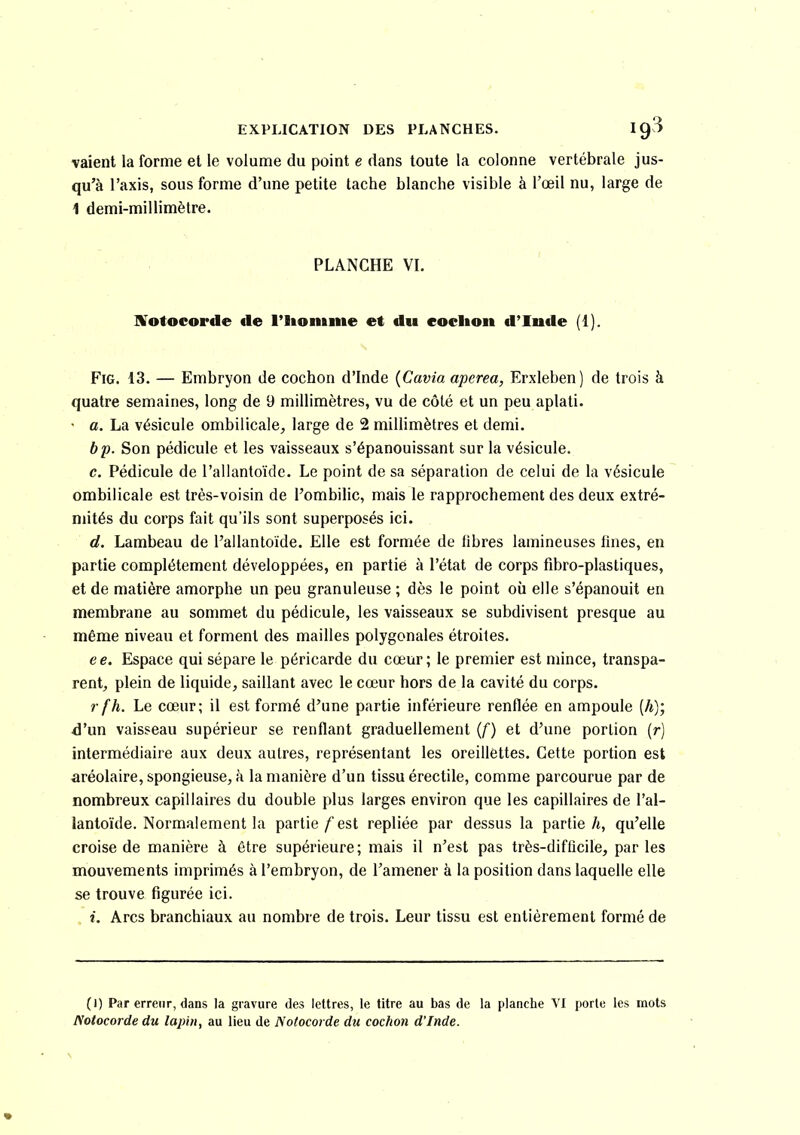 \aient la forme et le volume du point e dans toute la colonne vertébrale jus- qu'à l'axis, sous forme d'une petite tache blanche visible à l'œil nu, large de 1 demi-millimèlre. PLANCHE VI. ]¥otocorde de l'iiomme et du cochon d'Inde (1). FiG. 13. — Embryon de cochon d'Inde {Cavia aperea, Erxleben) de trois à quatre semaines, long de 9 millimètres, vu de côté et un peu aplati. • a. La vésicule ombilicale^ large de 2 millimètres et demi. bp. Son pédicule et les vaisseaux s'épanouissant sur la vésicule. e. Pédicule de l'allantoïde. Le point de sa séparation de celui de la vésicule ombilicale est très-voisin de l'ombilic, mais le rapprochement des deux extré- mités du corps fait qu'ils sont superposés ici. d. Lambeau de l'allantoïde. Elle est formée de libres lamineuses fines, en partie complètement développées, en partie à l'état de corps fibro-plastiques, et de matière amorphe un peu granuleuse ; dès le point où elle s'épanouit en membrane au sommet du pédicule, les vaisseaux se subdivisent presque au même niveau et forment des mailles polygonales étroites. ee. Espace qui sépare le péricarde du cœur; le premier est mince, transpa- rent, plein de liquide, saillant avec le cœur hors de la cavité du corps. r fh. Le cœur; il est formé d'une partie inférieure renflée en ampoule (A); d'un vaisseau supérieur se renflant graduellement {() et d'une portion (r) intermédiaire aux deux autres, représentant les oreillettes. Cette portion est aréolaire, spongieuse, à la manière d'un tissu érectile, comme parcourue par de nombreux capillaires du double plus larges environ que les capillaires de l'al- lantoïde. Normalement la partie/'est repliée par dessus la partie/i, qu'elle croise de manière à être supérieure ; mais il n'est pas très-difficile, par les mouvements imprimés à l'embryon, de l'amener à la position dans laquelle elle se trouve figurée ici. i. Arcs branchiaux au nombre de trois. Leur tissu est entièrement formé de (1) Par erreur, dans la gravure des lettres, le titre au bas de la planclie VI porte les mots Notocorde du lapin, au lieu de Notocorde du cochon d'Inde.