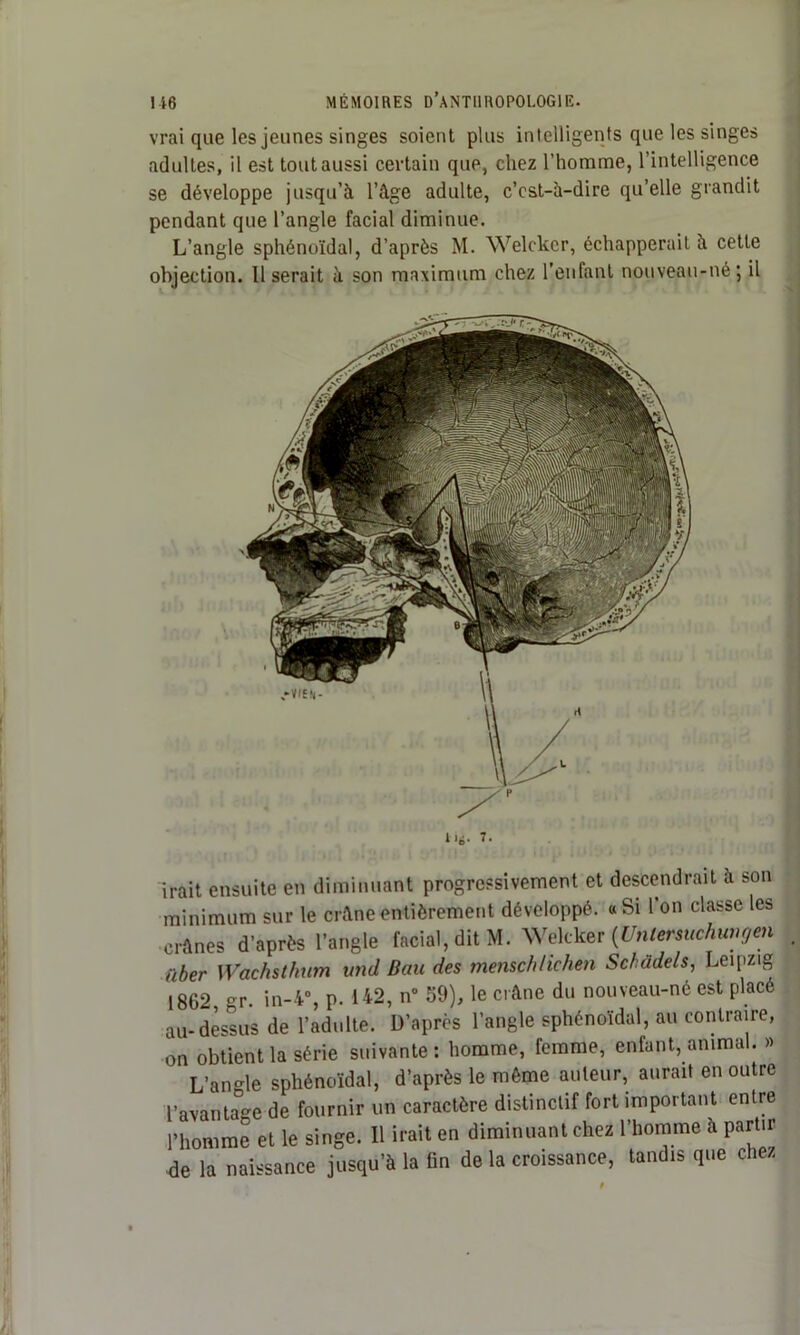 vrai que les jeunes singes soient plus intelligents que les singes adultes, il est tout aussi certain que, chez l’homme, l’intelligence se développe jusqu’à l’âge adulte, c’est-à-dire qu’elle grandit pendant que l’angle facial diminue. L’angle sphénoïdal, d’après M. Welckcr, échapperait à cette objection. Il serait à son maximum chez l’enfant nouveau-né j il irait ensuite en diminuant progressivement et descendrait à son minimum sur le crâne entièrement développé, «Si l’on classe les crânes d’après l’angle facial, dit M. Wekker (Unlersuchungen ilber Wachsthum und Bau des mensch/ichen Schüdels, Leipzig 1862 gr. in-4°, p. 142, n° 59), le crâne du nouveau-né est placé au-dessus de l’adulte. D’après l’angle sphénoïdal, au contraire, on obtient la série suivante : homme, femme, entant, anima . » L’angle sphénoïdal, d’après le même auteur, aurait en outre l’avantage de fournir un caractère distinctif fort important entre l’homme et le singe. Il irait en diminuant chez l’homme à partir de la naissance jusqu’à la ün de la croissance, tandis que chez