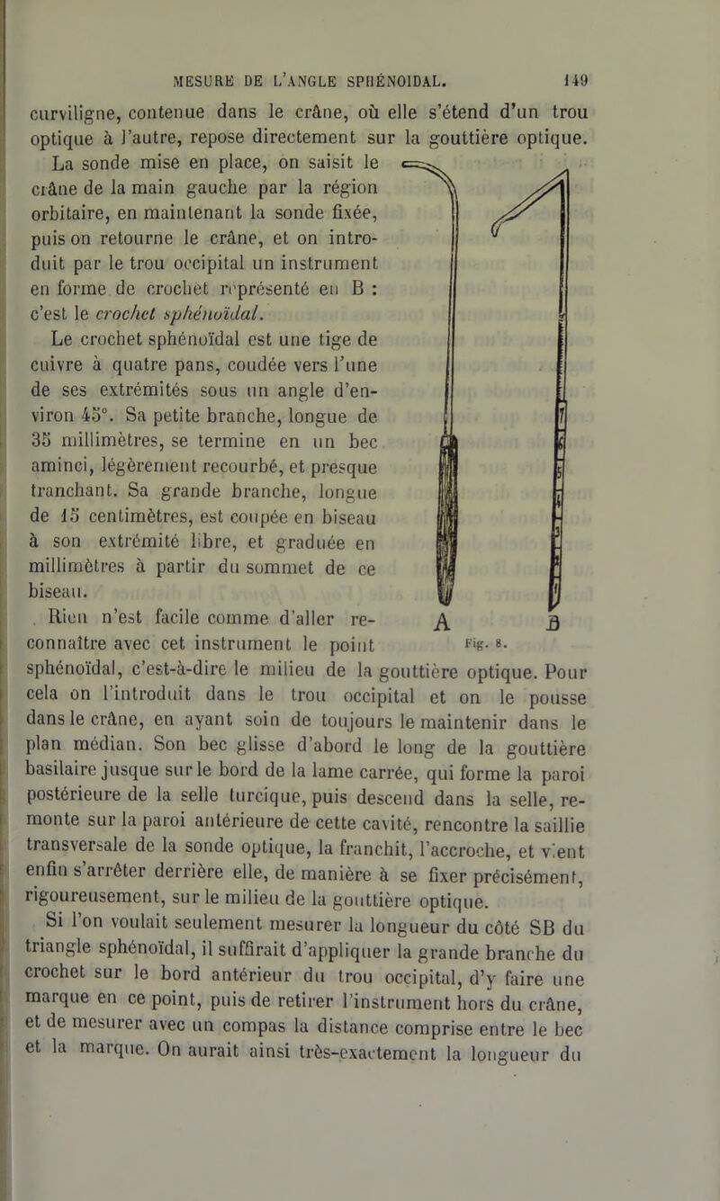 curviligne, contenue dans le crâne, où elle s’étend d’un trou optique à l’autre, repose directement sur la gouttière optique. La sonde mise en place, on saisit le crâne de la main gauche par la région orbitaire, en maintenant la sonde fixée, puis on retourne le crâne, et on intro- duit par le trou occipital un instrument en forme de crochet représenté en B : c’est le crochet sphénoïdal. Le crochet sphénoïdal est une tige de cuivre à quatre pans, coudée vers Tune de ses extrémités sous un angle d’en- viron 45°. Sa petite branche, longue de 35 millimètres, se termine en un bec aminci, légèrement recourbé, et presque tranchant. Sa grande branche, longue de 15 centimètres, est coupée en biseau à son extrémité libre, et graduée en millimètres à partir du sommet de ce biseau. Rien n’est facile comme d’aller re- connaître avec cet instrument le point sphénoïdal, c’est-à-dire le milieu de la gouttière optique. Pour cela on 1 introduit dans le trou occipital et on le pousse dans le crâne, en ayant soin de toujours le maintenir dans le plan médian. Son bec glisse d’abord le long de la gouttière basilaire jusque sur le bord de la lame carrée, qui forme la paroi postérieure de la selle turcique, puis descend dans la selle, re- monte sur la paroi antérieure de cette cavité, rencontre la saillie transversale de la sonde optique, la franchit, l’accroche, et vient enfin s aneter derrière elle, de manière à se fixer précisément, rigoureusement, sur le milieu de la gouttière optique. Si l’on voulait seulement mesurer la longueur du côté SB du triangle sphénoïdal, il suffirait d appliquer la grande branche du crochet sur le bord antérieur du trou occipital, d’y faire une marque en ce point, puis de retirer l’instrument hors du crâne, et de mesurer avec un compas la distance comprise entre le bec et la mai que. On aurait ainsi très-exactement la longueur du