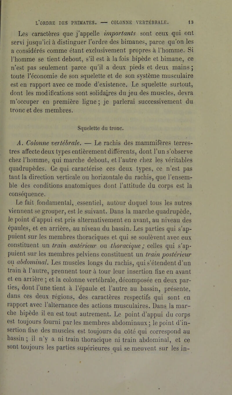 Les caractères que j’appelle importants sont ceux qui ont servi jusqu’ici à distinguer l’ordre des bimanes, parce qu’on les a considérés comme étant exclusivement propres à l’homme. Si l’homme se tient debout, s’il est à la fois bipède et bimane, ce n’est pas seulement parce qu’il a deux pieds et deux mains ; toute l’économie de son squelette et de son système musculaire est en rapport avec ce mode d’existence. Le squelette surtout, dont les modifications sont solidaires du jeu des muscles, devra m’occuper en première ligne ; je parlerai successivement du tronc et des membres. Squelette du tronc. A. Colonne vertébrale. — Le rachis des mammifères terres- tres affecte deux types entièrement différents, dont l’un s’observe chez l’homme, qui marche debout, et l’autre chez les véritables quadrupèdes. Ce qui caractérise ces deux types, ce n’est pas tant la direction verticale ou horizontale du rachis, que l’ensem- ble des conditions anatomiques dont l’attitude du corps est la conséquence. Le fait fondamental, essentiel, autour duquel tous les autres viennent se grouper, est le suivant. Dans la marche quadrupède, le point d’appui est pris alternativement en avant, au niveau des épaules, et en arrière, au niveau du bassin. Les parties qui s’ap- puient sur les membres thoraciques et qui se soulèvent avec eux constituent un train antérieur ou thoracique ; celles qui s’ap- puient sur les membres pelviens constituent un train postérieur ou abdominal. Les muscles longs du rachis, qui s’étendent d’un train à l’autre, prennent tour à tour leur insertion fixe en avant et en arrière ; et la colonne vertébrale, décomposée en deux par- ties, dont l’une tient à l’épaule et l’autre au bassin, présente, dans ces deux régions, des caractères respectifs qui sont en rapport avec l’alternance des actions musculaires. Dans la mar- che bipède il en est tout autrement. Le point d’appui du corps est toujours fourni par les membres abdominaux ; le point d’in- sertion fixe des muscles est toujours du côté qui correspond au bassin; il n’y a ni train thoracique ni train abdominal, et ce sont toujours les parties supérieures qui se meuvent sur les in-