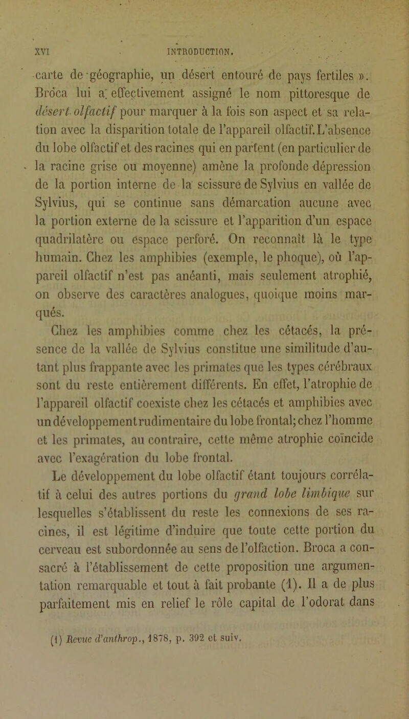 carie de géographie, un désert entouré do pays fertiles ». Brdca lui a; effectivement assigné le nom pittoresque de désert olfactif pour marquer à la fois son aspect et sa rela- tion avec la disparition totale de l’appareil olfactif.L’absence du lobe olfactif et des racines qui en partent (en particulier de la racine grise ou moyenne) amène la profonde dépression de la portion interne de la scissure de Sylvius en vallée de Sylvius, qui se continue sans démarcation aucune avec la portion externe de la scissure et l’apparition d’un espace quadrilatère ou espace perforé. On reconnaît là le type humain. Chez les amphibies (exemple, le phoque), où l’ap- pareil olfactif n’est pas anéanti, mais seulement atrophié, on observe des caractères analogues, quoiipie moins mar- qués. Chez les amphibies comme chez les cétacés, la pré- sence de la vallée de Sylvius constitue une similitude d’au- tant plus frappante avec les primates que les types cérébraux sont du reste entièrement différents. En effet, l’atrophie de l’appareil olfactif coexiste chez les cétacés et amphibies avec undéveloppementrudimentaire du lobe frontal; chez l’homme et les primates, au contraire, cette même atrophie coïncide avec l’exagération du lobe frontal. Le développement du lobe olfactif étant toujours corréla- tif à celui des autres portions du grand lobe limbiquc sur lesquelles s’établissent du reste les connexions de ses ra- cines, il est légitime d’induire que toute celte portion du cerveau est subordonnée au sens de l’olfaction. Broca a con- sacré à l’établissement de cette proposition une argumen- tation remarquable et tout à fait probante (1). Il a de plus parfaitement mis en relief le rôle capital de l’odorat dans (1) iîci'we d’anthrop., 1878, p, 392 et suiv.