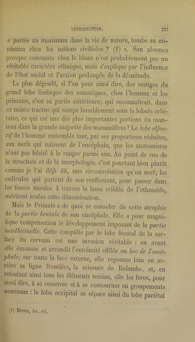 (( portée au maximum dans la vie de nature, tombe au mi- nimum chez les nations civilisées (1) ». Son absence presque constante chez le blanc n’est probablement pas un véritable caractère ethnique, mais s’explique par l’influence de l’état social et l’action prolongée de la désuétude. Le plus dégradé, si l’on peut ainsi dire, des vestiges du grand lobe limbique des osmaliques, chez l’homme et les primates, c’est sa partie antérieure; qui reconnaîtrait, dans ce mince traclus qui rampe humblement sous le lobule orbi- taire, ce qui est une des plus importantes portions du man- teau dans la grande majorité des mammifères? Le lohe olfac- tif de l’homme ressemble tant, par ses proportions réduites, aux nerfs qui naissent de l’encéphale, que les anatomistes n’ont pas hésité à le ranger parmi eux. Au point de vue de la structure et de la morphologie, c’est pourtant bien plutôt comme je l’ai déjà dit, une circonvolution qu’un nerf; les radicules qui partent de son renflement, pour passer dans les fosses nasales a travers la lame criblée de l’etlnnoïde, méritent seules cette dénomination. Mais le Primate a de quoi se consoler de cette atrophie de pai tic hvutalc de son encephale. Elle a pour magni- fique compensation le développement imposant de la partie intellectuelle. Cette conquête par le lobe frontal de la sur- face du cerveau est une invasion véritable ; en avant elle émousse et arrondit l’extrémité effilée ou hec de l’encé- phale; sur toute la face externe, elle repousse loin en ar- rière sa ligne frontière, la scissure de Rolande, et, en refoulant ainsi tous les éléments voisins, elle les force, pour ainsi dire, à se resserrer et à se contourner en groupements nouveaux : le lobe occipital se sépare ainsi du lobe pariétal (I) Broca, hc. cit.