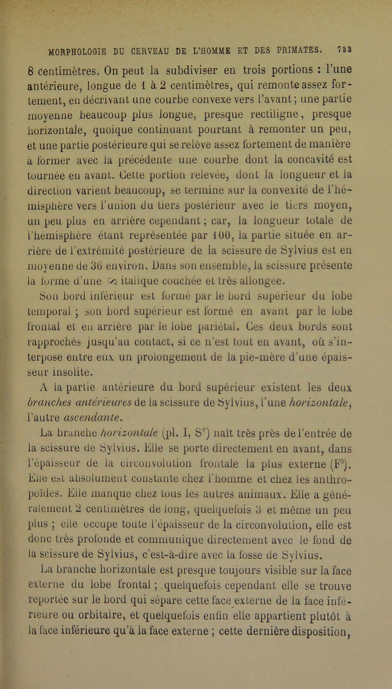 8 centimètres. On peut la subdiviser en trois portions : l’une antérieure, longue de 1 à 2 centimètres, qui remonte assez for- tement, en décrivant une courbe convexe vers l’avant ; une partie moyenne beaucoup plus longue, presque rectiligne, presque horizontale, quoique continuant pourtant à remonter un peu, et une partie postérieure qui se relève assez fortement de manière a former avec la précédente une courbe dont la concavité est tournée en avant. Cette portion relevée, dont la longueur et la direction varient beaucoup, se termine sur la convexité de l’hé- misphère vers l’union du tiers postérieur avec le tiers moyen, un peu plus en arrière cependant ; car, la longueur totale de l’hémisphère étant représentée par lUÜ, la partie située en ar- rière de l’extrémité postérieure de la scissure de Sylvius est en moyenne de 3Ü environ. Dans son ensemble, la scissure présente la lorme d’une ^ italique couchée et très allongée. Son bord inférieur est formé par le bord supérieur du lobe temporal ; son bord supérieur est formé en avant par le lobe frontal et en arrière par le lobe pariétal. Ces deux bords sont rapprochés jusqu’au contact, si ce n’est tout en avant, où s’in- terpose entre eux un prolongement de la pie-mère d’une épais- seur insolite. A la partie antérieure du bord supérieur existent les deux branches antérieures de la scissure de Sylvius, l’une horizontale^ l’autre ascendante. La branche horizontale (pl. I, S'') naît très près de l’entrée de la scissure de Sylvius. Elle se porte directement en avant, dans l’épaisseur de la circonvolution frontale la plus externe (F^). Elle eat absolument constante chez l’homme et chez les anthro- poïdes. Elle manque chez tous les autres animaux. Elle a géné- ralement 2 centimètres de long, quelquefois 3 et môme un peu plus I elle occupe toute l’épaisseur de la circonvolution, elle est donc très profonde et communique directement avec le fond de la scissure de Sylvius, c’est-à-dire avec la fosse de Sylvius. La branche horizontale est presque toujours visible sur la face externe du lobe frontal ; quelquefois cependant elle se trouve reportée sur le bord qui sépare cette face externe de la face infé- rieure ou orbitaire, et quelquefois entin elle appartient plutôt à la face inférieure qu’à la face externe ; cette dernière disposition,