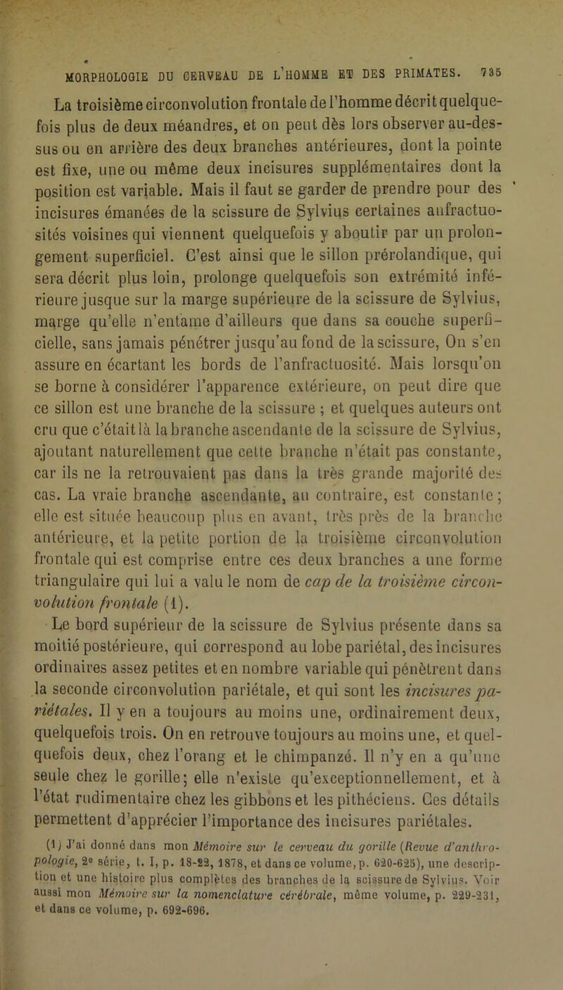 La troisième circonvolution frontale de l’homme décrit quelque- fois plus de deux méandres, et on peut dès lors observer au-des- sus ou en arrière des deux branches antérieures, dont la pointe est fixe, une ou même deux incisures supplémentaires dont la position est variable. Mais il faut se garder de prendre pour des incisures émanées de la scissure de Sylvius certaines anfractuo- sités voisines qui viennent quelquefois y aboutir par un prolon- gement superficiel. C’est ainsi que le sillon prérolandique, qui sera décrit plus loin, prolonge quelquefois son extrémité infé- rieure jusque sur la marge supérieure de la scissure de Sylvius, marge qu’elle n’entame d’ailleurs que dans sa couche superfi- cielle, sans jamais pénétrer jusqu’au fond de la scissure. On s’en assure en écartant les bords de l’anfractuosité. Mais lorsqu’on se borne à considérer l’apparence extérieure, on peut dire que ce sillon est une branche de la scissure ; et quelques auteurs ont cru que c’était là la branche ascendante de la scissure de Sylvius, ajoutant naturellement que cette branche n’était pas constante, car ils ne la retrouvaient pas dans la très grande majorité des cas. La vraie branche ascendante, au contraire, est constante; elle est située beaucoup plus en avant, très près de la branche antérieure, et la petite portion de la troisième circonvolution frontale qui est comprise entre ces deux branches a une forme triangulaire qui lui a valu le nom de cap de la troüième circon- volution frontale (1). Le bord supérieur de la scissure de Sylvius présente dans sa moitié postérieure, qui correspond au lobe pariétal, des incisures ordinaires assez petites et en nombre variable qui pénètrent dans la seconde circonvolution pariétale, et qui sont les incisures pa- riétales. Il y en a toujours au moins une, ordinairement deux, quelquefois trois. On en retrouve toujours au moins une, et quel- quefois deux, chez l’orang et le chimpanzé. 11 n’y en a qu’une I seule chez le gorille; elle n’existe qu’exceptionnellement, et à l’état rudimentaire chez les gibbons et les pithéciens. Ces détails permettent d’apprécier l’importance des incisures pariétales. (1j J’ai donné dans mon Mémoire sur le cerveau du gorille (Revue d’anthro- pologie,'i'> série, t. I, p. 18-Î2, 1878, et dans ce volume, p. CàO-625), une descrip- tion et une histoire plus complètes des branches de la scissure de Sylvius. Voir aussi mon Mémoire sur la nomenclature cérébrale, môme volume, p. 229-231, et dans ce volume, p. 692-696.