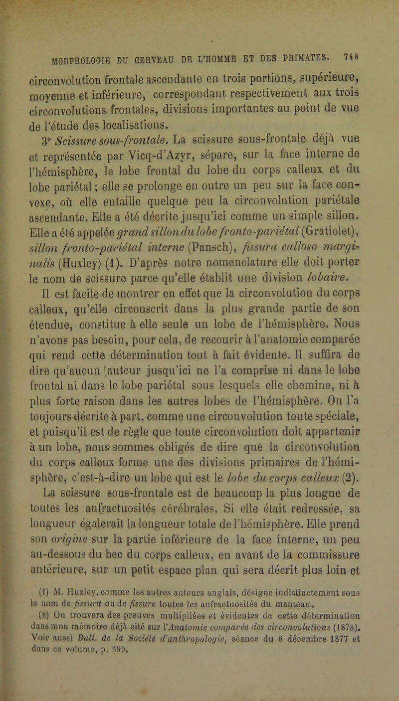 circonvolution frontale ascendante en trois portions, supérieure, moyenne et inférieure, correspondant respectivement aux trois circonvolutions frontales, divisions importantes au point de vue de l’étude des localisations. Scissure sous-fi’ontale. La scissure sous-frontale déj<\ vue et représentée par Vicq-d’Azyr, sépare, sur la face interne de l’hémisphère, le lobe frontal du lobe du corps calleux et du lobe pariétal ; elle se prolonge en outre un peu sur la face con- vexe, où elle entaille quelque peu la circonvolution pariétale ascendante. Elle a été décrite jusqu’ici comme un simple sillon. Elle a été appelée grcmd sillon du lobe fronto-pariétal (Gratiolet), sillon fronto-pariétal interne (Pansch), fissura calloso margi- nalis (Huxley) (1). D’après notre nomenclature elle doit porter le nom de scissure parce qu’elle établit une division lobaire. Il est facile de montrer en effet que la circonvolution du corps calleux, qu’elle circonscrit dans la plus grande partie de son étendue, constitue à elle seule un lobe de l’hémisphère. Nous n’avons pas besoin, pour cela, de recourir à l’anatomie comparée qui rend cette détermination tout à fait évidente. Il suffira de dire qu’aucun fauteur jusqu’ici ne l’a comprise ni dans le lobe frontal ni dans le lobe pariétal sous lesquels elle chemine, ni à plus forte raison dans les autres lobes de l’hémisphère. On l’a toujours décrite à part, comme une circonvolution toute spéciale, et puisqu’il est de règle que toute circonvolution doit appartenir à un lobe, nous sommes obligés de dire que la circonvolution du corps calleux forme une des divisions primaires de l’hémi- sphère, c’est-à-dire un lobe qui est le lobe du coi'ps calleux (2). La scissure sous-frontale est de beaucoup la plus longue de toutes les anfractuosités cérébrales. Si elle était redressée, sa longueur égalerait la longueur totale de l’hémisphère. Elle prend son origine sur la partie inférieure de la face interne, un peu au-dessous du bec du corps calleux, en avant de la commissure antérieure, sur un petit espace plan qui sera décrit plus loin et (1) M. Huxley, comme les autres auteurs anglais, désigne indistinctement sous le nom de fissura ou de fissure toutes les anfractuosités du manteau. (2) ün trouvera des prouves multipliées et évidentes do cette détermination dans mon mémoire déjà cité sur VAnalmnie comparée des circonvoluliosis (1878). Voir aussi Bull, de la Société d'anthropologie, séance du 6 décembre 1877 et dans ce volume, p. B90.