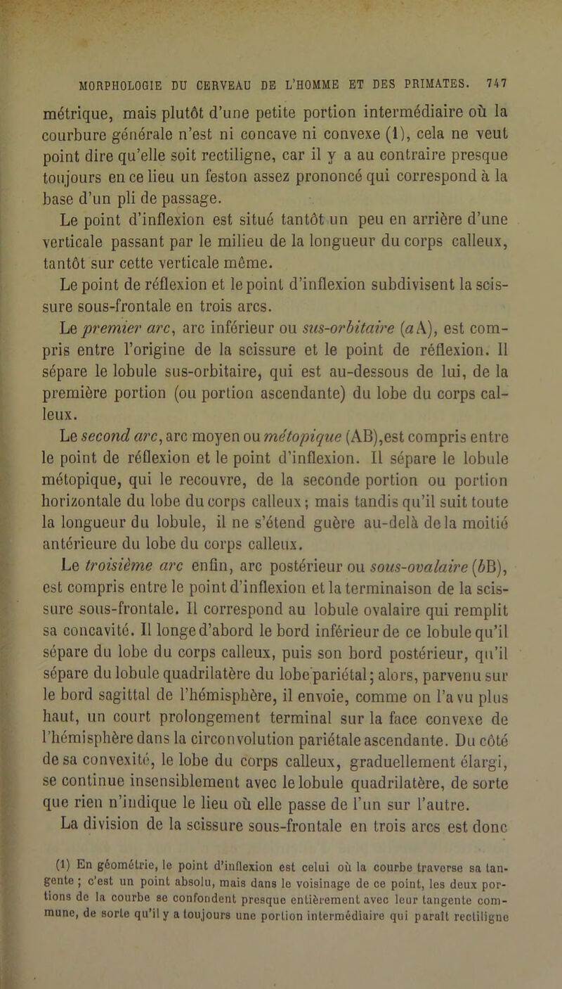 métrique, mais plutôt d’une petite portion intermédiaire où la courbure générale n’est ni concave ni convexe (1), cela ne veut point dire qu’elle soit rectiligne, car il y a au contraire presque toujours eu ce lieu un feston assez prononcé qui correspond à la base d’un pli de passage. Le point d’inflexion est situé tantôt un peu en arrière d’une verticale passant par le milieu de la longueur du corps calleux, tantôt sur cette verticale même. Le point de réflexion et le point d’inflexion subdivisent la scis- sure sous-frontale en trois arcs. \jü, premier arc, arc inférieur ou sus-orbitaire {aS), est com- pris entre l’origine de la scissure et le point de réflexion. 11 sépare le lobule sus-orbitaire, qui est au-dessous de lui, de la première portion (ou portion ascendante) du lobe du corps cal- leux. Le second arc, arc moyen ou métopique (AB),est compris entre le point de réflexion et le point d’inflexion. Il sépare le lobule métopique, qui le recouvre, de la seconde portion ou portion horizontale du lobe du corps calleux ; mais tandis qu’il suit toute la longueur du lobule, il ne s’étend guère au-delà delà moitié antérieure du lobe du corps calleux. Le troisième arc enfin, arc postérieur ou (ôB), est compris entre le point d’inflexion et la terminaison de la scis- sure sous-frontale. Il correspond au lobule ovalaire qui remplit sa concavité. Il longed’abord le bord inférieur de ce lobule qu’il sépare du lobe du corps calleux, puis son bord postérieur, qu’il sépare du lobule quadrilatère du lobe pariétal; alors, parvenu sur le bord sagittal de l’hémisphère, il envoie, comme on l’a vu plus haut, un court prolongement terminal sur la face convexe de l’hémisphère dans la circonvolution pariétale ascendante. Du côté de sa convexité, le lobe du corps calleux, graduellement élargi, se continue insensiblement avec le lobule quadrilatère, de sorte que rien n’indique le lieu où elle passe de l’un sur l’autre. La division de la scissure sous-frontale en trois arcs est donc (1) En géométrie, le point d’inflexion est celui où la courbe traverse sa tan- gente ; c'est un point absolu, mais dans le voisinage de ce point, les deux por- tions de la courbe se confondent presque entièrement avec leur tangente com- mune, de sorte qu’il y a toujours une portion intermédiaire qui paraît rectiligne