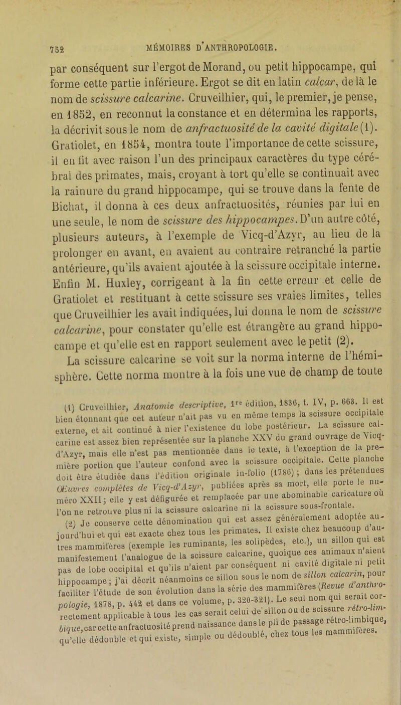 par conséquent sur l’ergot de Morand, ou petit hippocampe, qui îbrme cette partie inférieure. Ergot se dit en latin calcar, de là le nom de scissure calcarine. Cru-veilliier, qui, le premier, je pense, en 1852, en reconnut la constance et en détermina les rapports, la décrivit sous le nom de anfractuosité de la cavité digitale[\). üratiolet, en 1854, montra toute l’importance de cette scissure, il en lit avec raison l’un des principaux caractères du type céré- bral des primates, mais, croyant à tort qu’elle se continuait avec la rainure du grand hippocampe, qui se trouve dans la fente de Bichat, il donna à ces deux anfractuosités, réunies par lui en une seule, le nom de scissure des hippocampes. D’un autre côté, plusieurs auteurs, à l’exemple de Vicq-d’Azyr, au lieu de la prolonger en avant, en avaient au contraire retranché la partie antérieure, qu’ils avaient ajoutée à la scissure occipitale interne. Enfin M. Huxley, corrigeant à la fin celle erreur et celle de üratiolet et restituant à celte scissure ses vraies limites, telles que Gruveiüiier les avait indiquées, lui donna le nom de scissure calcarine, pour constater qu’elle est étrangère au grand hippo- campe cl qu’elle est en rapport seulement avec le petit (2). La scissure calcarine se voit sur la norma interne de 1 hémi- sphère. Cette norma montre à la fois une vue de champ de toute 11) üruvcilliicr, A7iatomie descriptive, n'ùdilion, 18315, t. IV, p. b63. Il est bien élonnanl que cet auteur u’ail pas vu en milme temps la scissure occipita e externe, et ait continué à nier l’existence du lobe postérieur. La scissure cal- carinc est assez bien représentée sur la planche XXV du grand ouvrage de \icq- d'Azyr, mais elle n’est pas mentionnée dans le texte, îi 1 exception de la pre- mière portion que l’auteur confond avec la scissure occipitale Cette planche doit être étudiée dans l’édition originale in-folio (17815); dans les prétendues Ul-uvres CO»,piétés de V,cq-d’Az,j,-, publiées après sa mort, el e porte le nu- méro XXll; elle y est défigurée et remplacée par une abominable caricaLuieo 1-onne retrouve plus ni la scissure calcarine ni la scissure sous-frontale (t) Je conserve cette dénomination qui est assez généralement adoptée au- jourd'hui et qui est exacte chez tous les primates. Il existe chez beaucoup au- tres maramilères (exemple les ruminants, les solipèdes, etc.), un sillon qui e manifestement l’analogue de la scissure calcarine, quoique ces ^mmaux n aie pas de lobe occipital el qu’ils n’aient par conséquent hippocampe ; j’ai décrit néanmoins ce sillon sous le nom de sillon calcaiin, pour facîiter l’étude de sou évolution dans la série des mammifères (/letmc danthio- ïïoï «îr?. AA2 et dans ce volume, p. 320-321). Le seul nom qui serait cor- rectement applicable è tous les cas serait celui de' sillon ou de scissure 6i7«e,car cette anfracluosité prend naissance dans le pli de passage q , qu’elle dédouble et qui e.xiste, simple ou dédoublé, chez tous les mammifères.