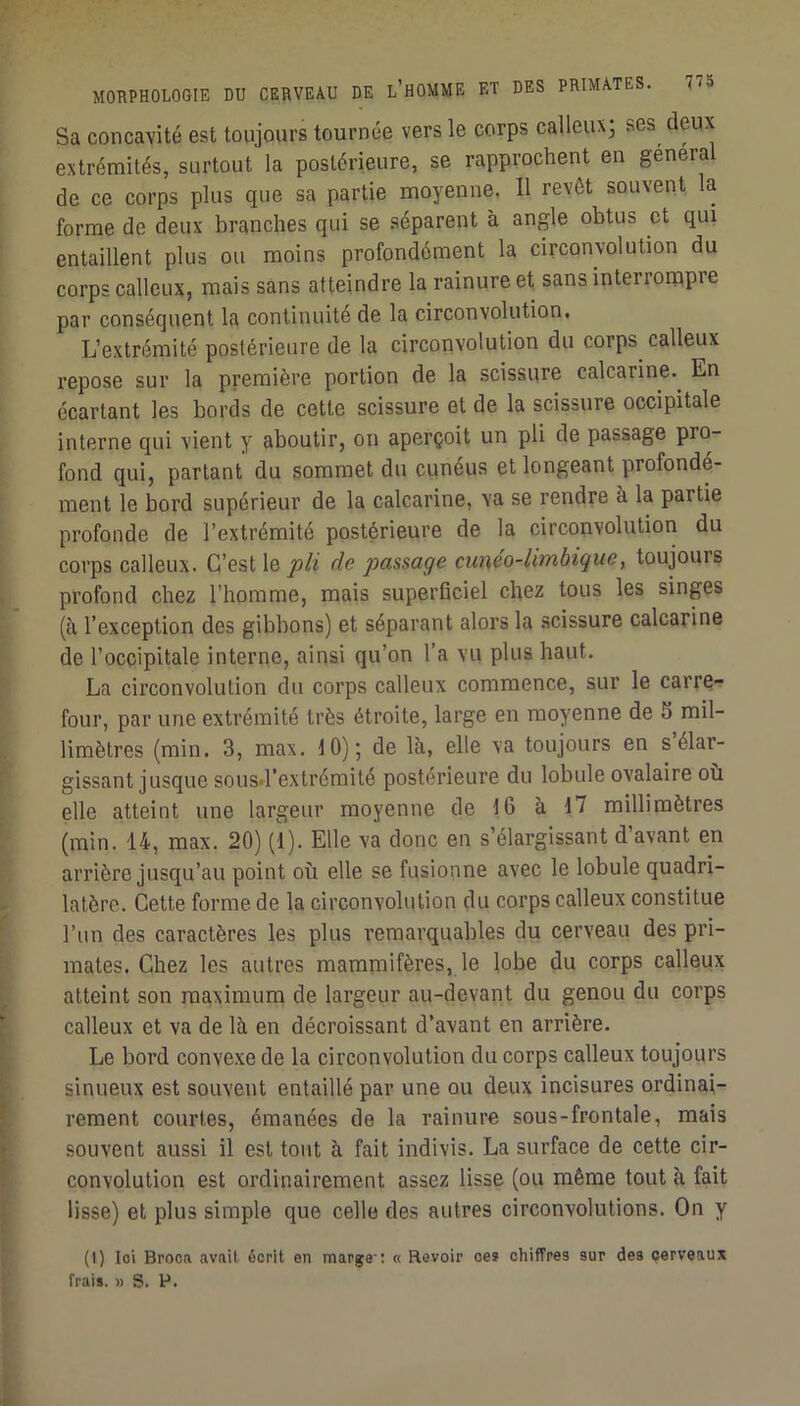 Sa concavité est toujours tournée vers le corps calleux; ses deux extrémités, surtout la postérieure, se rapprochent en général de ce corps plus que sa partie moyenne. Il revêt souvent la forme de deux branches qui se séparent à angle obtus et qui entaillent plus ou moins profondément la circonvolution du corps calleux, mais sans atteindre la rainure et sans interrompre par conséquent la continuité de la circonvolution. L’extrémité postérieure de la circonvolution du corps calleux repose sur la première portion de la scissure calcarine.^ En écartant les bords de cette scissure et de la scissure occipitale interne qui vient y aboutir, on aperçoit un pli de passage pro- fond qui, partant du sommet du cunéus et longeant profondé- ment le bord supérieur de la calcarine, va se rendre à la partie profonde de l’extrémité postérieure de la circonvolution du corps calleux. C’est le jo/î de passage cunéo-limbique, toujours profond chez l’homme, mais superficiel chez tous les singes (h l’exception des gibbons) et séparant alors la scissure calcarine de l’occipitale interne, ainsi qu’on l’a vu plus haut. La circonvolution du corps calleux commence, sur le carre- four, par une extrémité très étroite, large en moyenne de 5 mil- limètres (min. 3, max. 10); de là, elle va toujours en s élar- gissant jusque sousd’extrémité postérieure du lobule ovalaire où elle atteint une largeur moyenne de 16 à 17 millimètres (min. 14, max. 20) (1). Elle va donc en s élargissant d avant en arrière jusqu’au point où elle se fusionne avec le lobule quadri- latère. Cette forme de la circonvolution du corps calleux constitue l’un des caractères les plus remarquables du cerveau des pri- mates. Chez les autres mammifères, le lobe du corps calleux atteint son maximum de largeur au-devant du genou du corps calleux et va de là en décroissant d’avant en arrière. Le bord convexe de la circonvolution du corps calleux toujours sinueux est souvent entaillé par une ou deux incisures ordinai- rement courtes, émanées de la rainure sous-frontale, mais souvent aussi il est tout à fait indivis. La surface de cette cir- convolution est ordinairement assez lisse (ou même tout à fait lisse) et plus simple que celle des autres circonvolutions. On y (1) loi Brooa avait écrit en marge': « Revoir ces chiffres sur des cerveaux frais. » S. P.