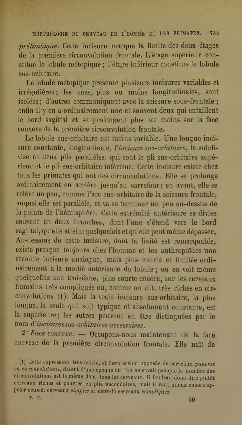 prélimbiqiie. Cette incisure marque la limite des deux étages de la première circonvolution frontale. L’étage supérieur con- stitue le lobule métopique; l’étage inférieur constitue le lobule sus-orbitaire. Le lobule métopique présente plusieurs incisures variables et irrégulières ; les unes, plus ou moins longitudinales, sont isolées ; d’autres communiquent avec la scissure sous-frontale ; enfin il y en a ordinairement une et souvent deux qui entaillent le bord sagittal et se prolongent plus ou moins sur la face convexe de la première circonvolution frontale. Le lobule sus-orbitaire est moins variable. Une longue inci- sure constante, longitudinale, Vincisure siis-07'bitaire, le subdi- vise en deux plis parallèles, qui sont le pli sus-orbitaire supé- rieur et le pli sus-orbitaire inférieur. Cette incisure existe chez tous les primates qui ont des circonvolutions. Elle se prolonge ordinairement en arrière jusqu’au carrefour; en avant, elle se relève un peu, comme l’arc sus-orbitaire de la scissure frontale, auquel elle est parallèle, et va se terminer un peu au-dessus de la pointe de l’hémisphère. Cette extrémité antérieure se divise souvent en deux branches, dont l’une s’étend vers le bord sagittal, qu’elle atteint quelquefois et qu’elle peut même dépasser. Au-dessous de cette incisure, dont la fixité est remarquable, existe presque toujours chez l’homme et les anthropoïdes une seconde incisure analogue, mais plus courte et limitée ordi- nairement à la moitié antérieure du lobule ; on en voit même quelquefois une troisième, plus courte encore, sur les cerveaux humains très compliqués ou, comme on dit, très riches en cir- convolutions (1). Mais la vraie incisure sus-orbitaire, la plus longue, la seule qui soit typique et absolument constante, est la supérieure; les autres peuvent en être distinguées par le nom û!incisiü'es sus-07'bitaires accessoires. 2“ Face convexe. — Occupons-nous maintenant de la face convexe de la première circonvolution frontale. Elle naît de (1) Celte expression très usitée, et l’expression opposée de cerveaux pauvres en circojivolutions, datent d’une époque où l’on ne savait pas que le nombre des circonvolutions est le môme dans tous les cerveaux. Il faudrait donc dire plutôt cerveaux riches et pauvres en plis secondaires, mais il vaut mieux encore ap« peler ceux-ci cerveaux simples et ceux-lit cerveaux compliqués, T. V. 50