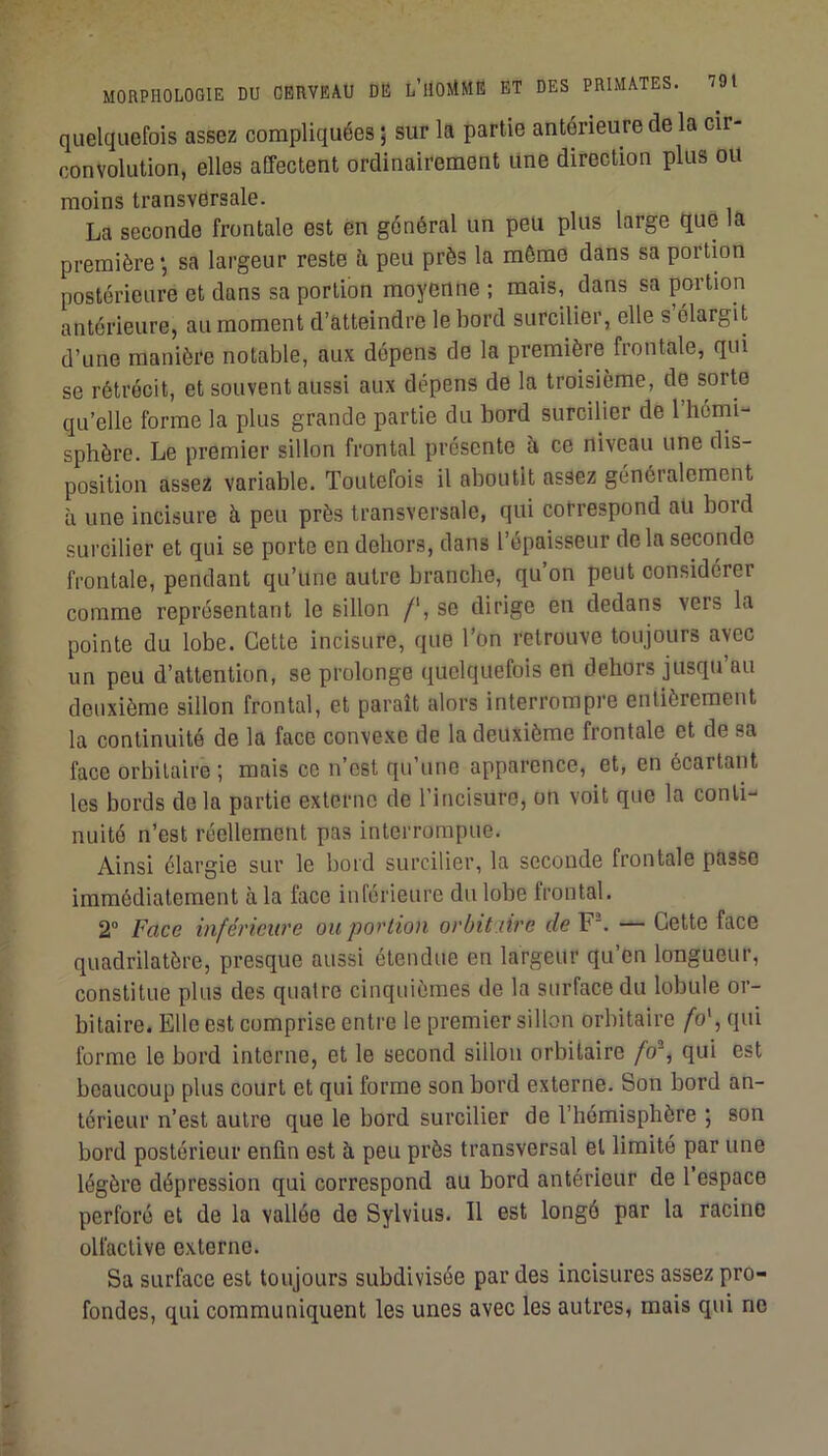 quelquefois assez compliquées ; sur la partie antérieure de la cir- convolution, elles affectent ordinairement line direction plus ou moins transversale. La seconde frontale est en général un peu plus large que la première *, sa largeur reste ü, peu près la môme dans sa portion postérieure et dans sa portion moyenne ; mais, dans sa portion antérieure, au moment d’atteindre le bord surcilier, elle s élargit d’une manière notable, aux dépens de la première frontale, qui se rétrécit, et souvent aussi aux dépens de la troisième, de sorte qu’elle forme la plus grande partie du bord surcilier de 1 hémi- sphère. Le premier sillon frontal présente à ce niveau une dis- position assez variable. Toutefois il aboutit assez généralement à une incisure à peu près transversale, qui correspond au boid surcilier et qui se porte en dehors, dans l’épaisseur de la seconde frontale, pendant qu’une autre branche, qu’on peut considérer comme représentant le sillon /‘, se dirige en dedans vers la pointe du lobe. Cette incisure, que l’on retrouve toujours avec un peu d’attention, se prolonge quelquefois en dehors jusqu’au deuxième sillon frontal, et paraît alors interrompre entièrement la continuité de la face convexe de la deuxième frontale et de sa face orbitaire ; mais ce n’est qu’une apparence, et, en écartant les bords delà partie externe de l’incisuro, on voit que la conti- nuité n’est réellement pas interrompue. Ainsi élargie sur le bord surcilier, la seconde frontale passe immédiatement à la face inférieure du lobe frontal. 2“ Face inférieure ou portion orbitxirc de F“. — Cette face quadrilatère, presque aussi étendue en largeur qu’en longueur, constitue plus des quatre cinquièmes de la surface du lobule or- bitaire. Elle est comprise entre le premier sillon orbitaire /o', qui forme le bord interne, et le second sillon orbitaire /b% qui est beaucoup plus court et qui forme son bord externe. Son bord an- térieur n’est autre que le bord surcilier de l’hémisphère ; son bord postérieur enfin est à peu près transversal et limité par une légère dépression qui correspond au bord antérieur de l espace perforé et de la vallée de Sylvius. 11 est longé par la racine olfactive externe. Sa surface est toujours subdivisée par des incisures assez pro- fondes, qui communiquent les unes avec les autres, mais qui no