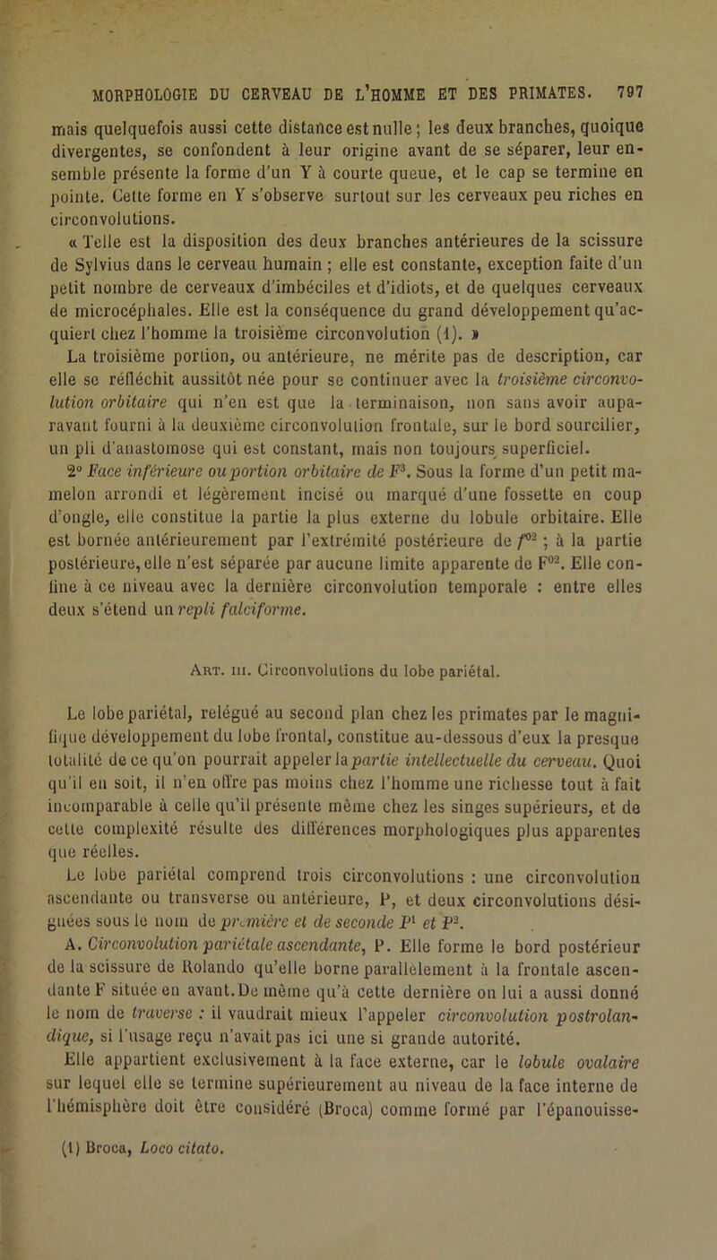 mais quelquefois aussi cette distance est nulle; les deux branches, quoique divergentes, se confondent à leur origine avant de se séparer, leur en- semble présente la forme d’un Y à courte queue, et le cap se termine en pointe. Cette forme en Y s’observe surtout sur les cerveaux peu riches en circonvolutions. « Telle est la disposition des deux branches antérieures de la scissure de Sylvius dans le cerveau humain ; elle est constante, exception faite d’un petit nombre de cerveaux d’imbéciles et d’idiots, et de quelques cerveaux de microcéphales. Elle est la conséquence du grand développement qu’ac- quiert chez l’homme la troisième circonvolution (1). » La troisième portion, ou antérieure, ne mérite pas de description, car elle se réfléchit aussitôt née pour se continuer avec la troisième circonvo- lution orbitaire qui n’en est que la • terminaison, non sans avoir aupa- ravant fourni à lu deuxième circonvolution frontale, sur le bord sourcilier, un pli d'anastomose qui est constant, mais non toujours^ superficiel. 2 Mce inférieure ou portion orbitaire de F^. Sous la forme d’un petit ma- melon arrondi et légèrement incisé ou marqué d’une fossette en coup d’ongle, elle constitue la partie la plus externe du lobule orbitaire. Elle est bornée antérieurement par l’extrémité postérieure de ; à la partie postérieure, elle n’est séparée par aucune limite apparente de F®-. Elle con- fine à ce niveau avec la dernière circonvolution temporale : entre elles deux s’étend un repli falciforme. Art. III. Uii’convolulions du lobe pariétal. Le lobe pariétal, relégué au second plan chez les primates par le magni- fique développement du lobe frontal, constitue au-dessous d’eux la presque tütalitc de ce qu’on pourrait appeler lapaWic intellectuelle du cerveau. Quoi qu’il en soit, il n’en ofl're pas moins chez l’homme une richesse tout à fait incomparable à celle qu’il présente même chez les singes supérieurs, et de cette complexité résulte des dilïérences morphologiques plus apparentes que réelles. Le lobe pariétal comprend trois circonvolutions : une circonvolution ascendante ou transverse ou antérieure, P, et deux circonvolutions dési- gnées sous le nom de pi\mière et de seconde P' et P-. A. Circonvolution pariétale ascendante, P. Elle forme le bord postérieur de la scissure de ilolando qu’elle borne parallèlement à la frontale ascen- dante F située en avant.De même qu’à cette dernière on lui a aussi donné le nom de traverse : il vaudrait mieux l’appeler circonvolution postrolan- dique, si l’usage reçu n’avait pas ici une si grande autorité. Elle appartient e.xclusivement à la face externe, car le lobule ovalaire sur lequel elle se termine supérieurement au niveau de la face interne de l’hémisphère doit être considéré (Broca) comme formé par l’épanouisse- (t) Broca, Loco citato.