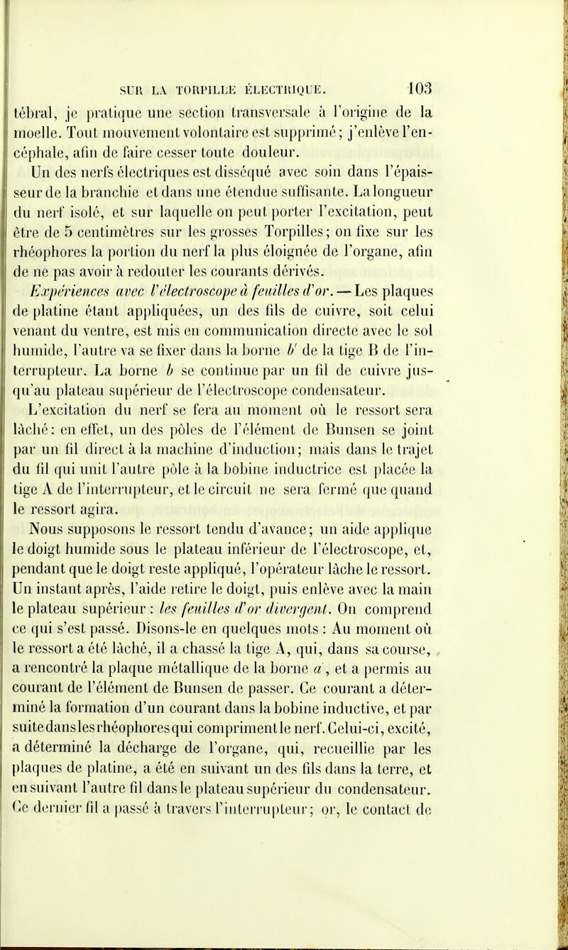 tébral, je pratique une section transversale à l'origine de la moelle. Tout mouvement volontaire est supprimé; j'enlève l'en- céphale, afin de faire cesser toute douleur. Un des nerfs électriques est disséqué avec soin dans l'épais- seur de la branchie et dans une étendue suffisante. La longueur du nerf isolé, et sur laquelle on peut porter l'excitation, peut être de 5 centimètres sur les grosses Torpilles ; on tîxe sur les rhéophores la portion du nerf la plus éloignée de l'organe, afin de ne pas avoir à redouter les courants dérivés. Expériences avec Vélectroscope à feuilles (f or. — Les plaques de platine étant appliquées, un des fils de cuivre, soit celui venant du ventre, est mis en communication directe avec le sol humide, l'autre va se fixer dans la borne b' de la tige B de l'in- terrupteur. La borne b se continue par un fil de cuivre jus- qu'au plateau supérieur de l'électroscope condensateur. L'excitation du nerf se fera au moment où le ressort sera lâché: en effet, un des pôles de l'élément de Bunsen se joint par un fil direct à la machine d'induction; mais dans le trajet du fil qui unit l'autre pôle à la bobine inductrice est placée la tige A de l'interrupteur, et le circuit ne sera fermé que quand le ressort agira. Nous supposons le ressort tendu d'avance ; un aide applique le doigt humide sous le plateau inférieur de l'électroscope, et, pendant que le doigt reste appliqué, l'opérateur lâche le ressort. Un instant après, l'aide retire le doigt, puis enlève avec la main le plateau supérieur : les feuilles d'or divergent. On comprend ce qui s'est passé. Disons-le en quelques mots : Au moment où le ressort a été lâché, il a chassé la tige A, qui, dans sa course, a rencontré la plaque métallique de la borne a , et a permis au courant de l'élément de Bunsen de passer. Ce courant a déter- miné la formation d'un courant dans la bobine inductive, et par suitedansles rhéophores qui comprimentle nerf. Celui-ci, excité, a déterminé la décharge de l'organe, qui, recueillie par les plaques de platine, a été en suivant un des fils dans la terre, et ensuivant l'autre fil dans le plateau supérieur du condensateur. Ce dernier fil a passé à travers l'interrupteur; or, le contact do