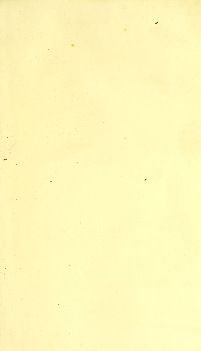 digitised image 3