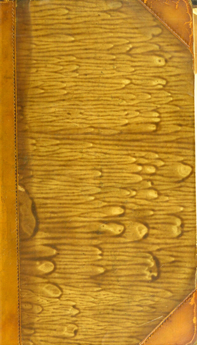 digitised image 1
